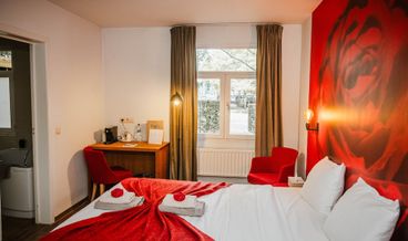 bilde på Dobbelt- eller tomannsrom – comfort, parkutsikt, anneks