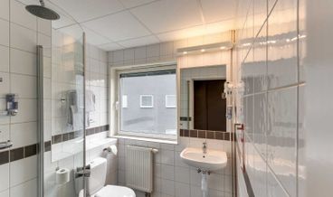 bilde på Standard Queenrom