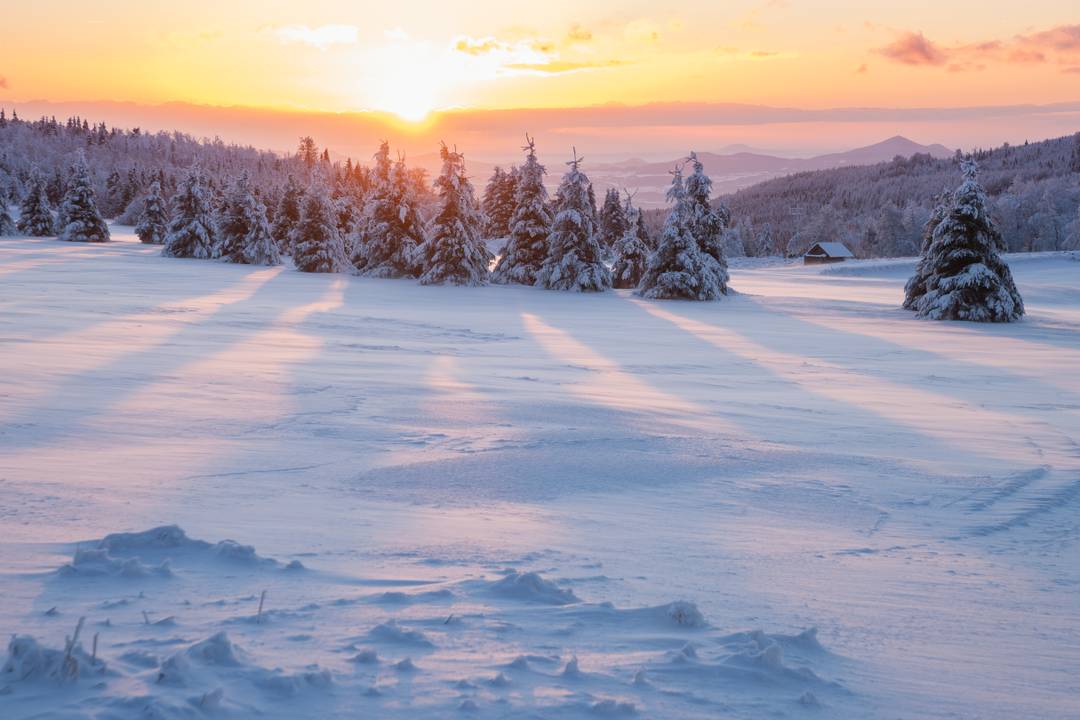Vinter Special