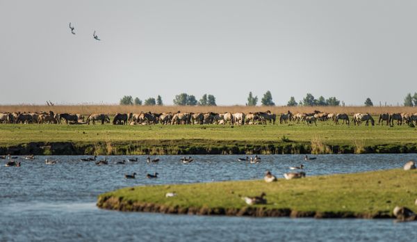 De beste hotellene i Emmeloord