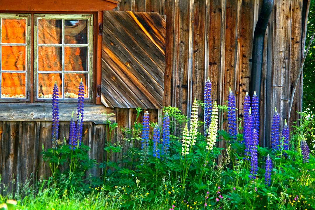 De beste hotellene i Dalarna