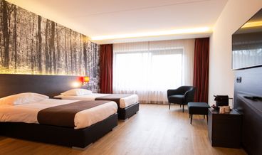 bilde på Deluxe rom