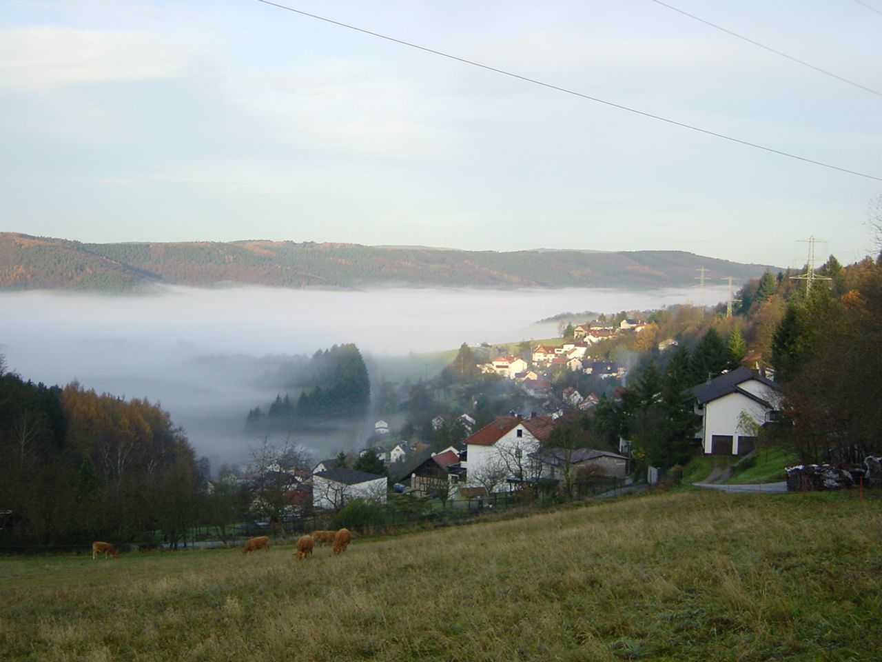 Omgivelser