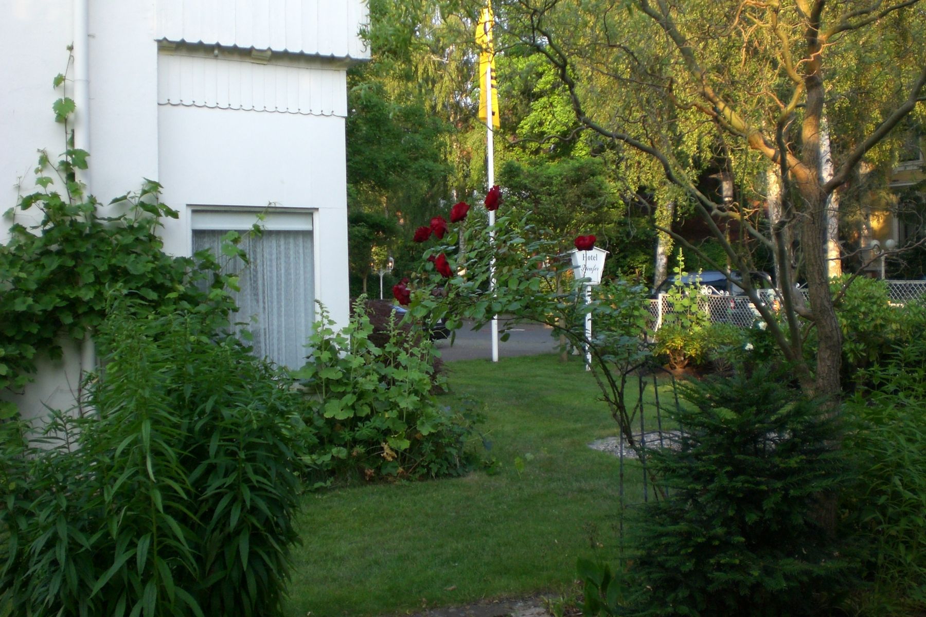 Hovedbildet