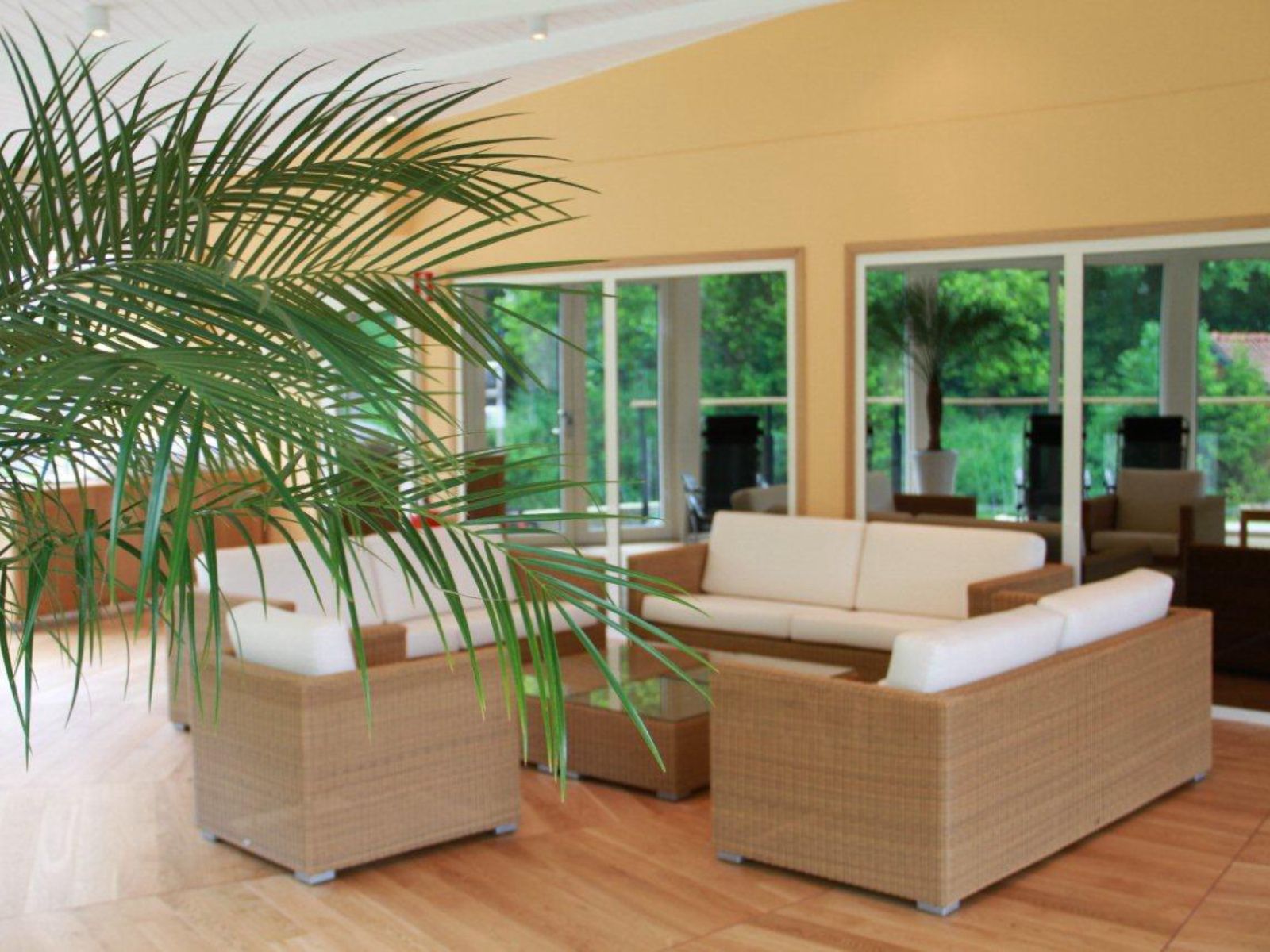 category_wellness