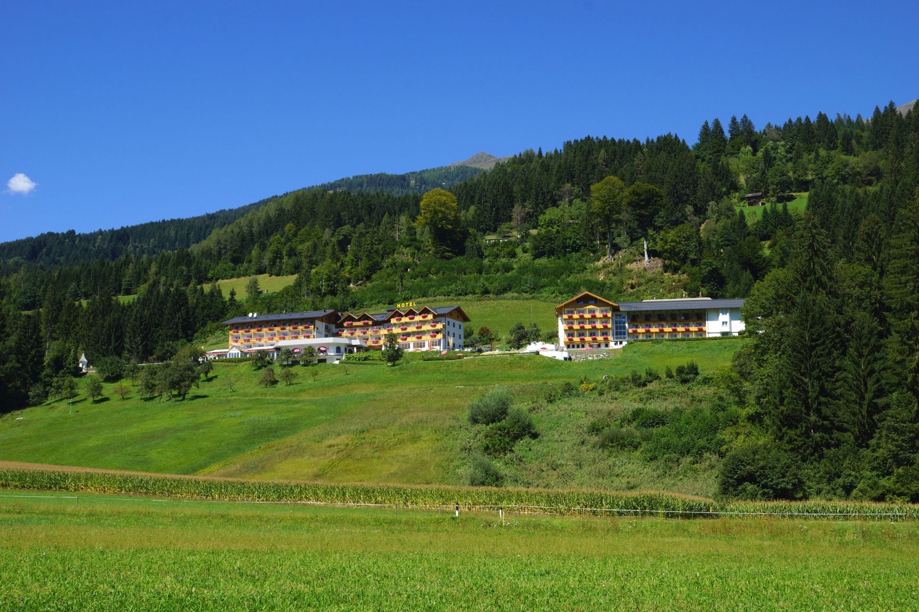 Forsiden