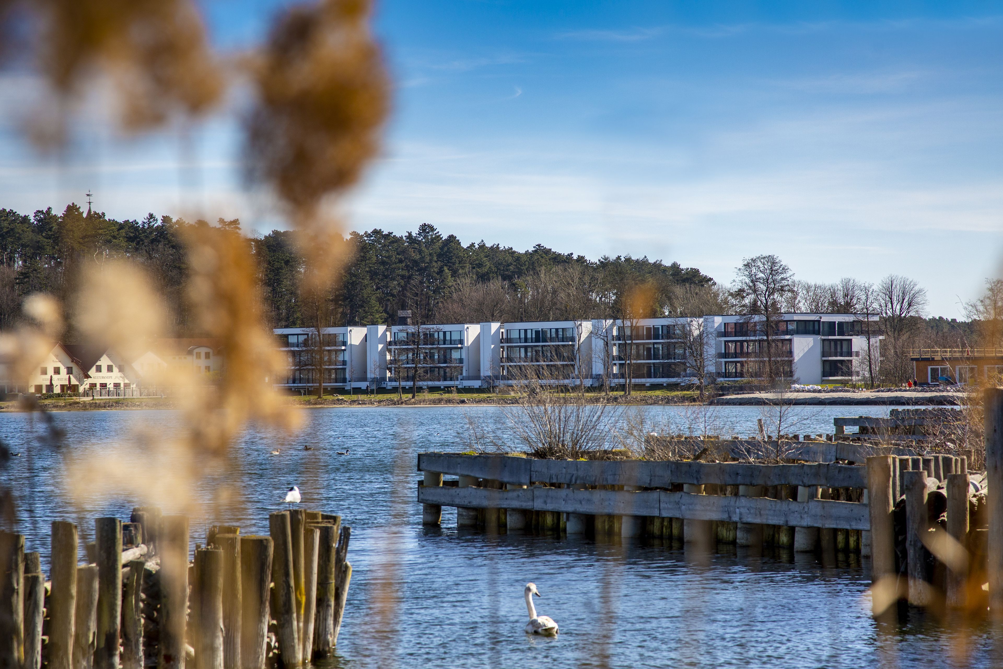 Hovedbildet