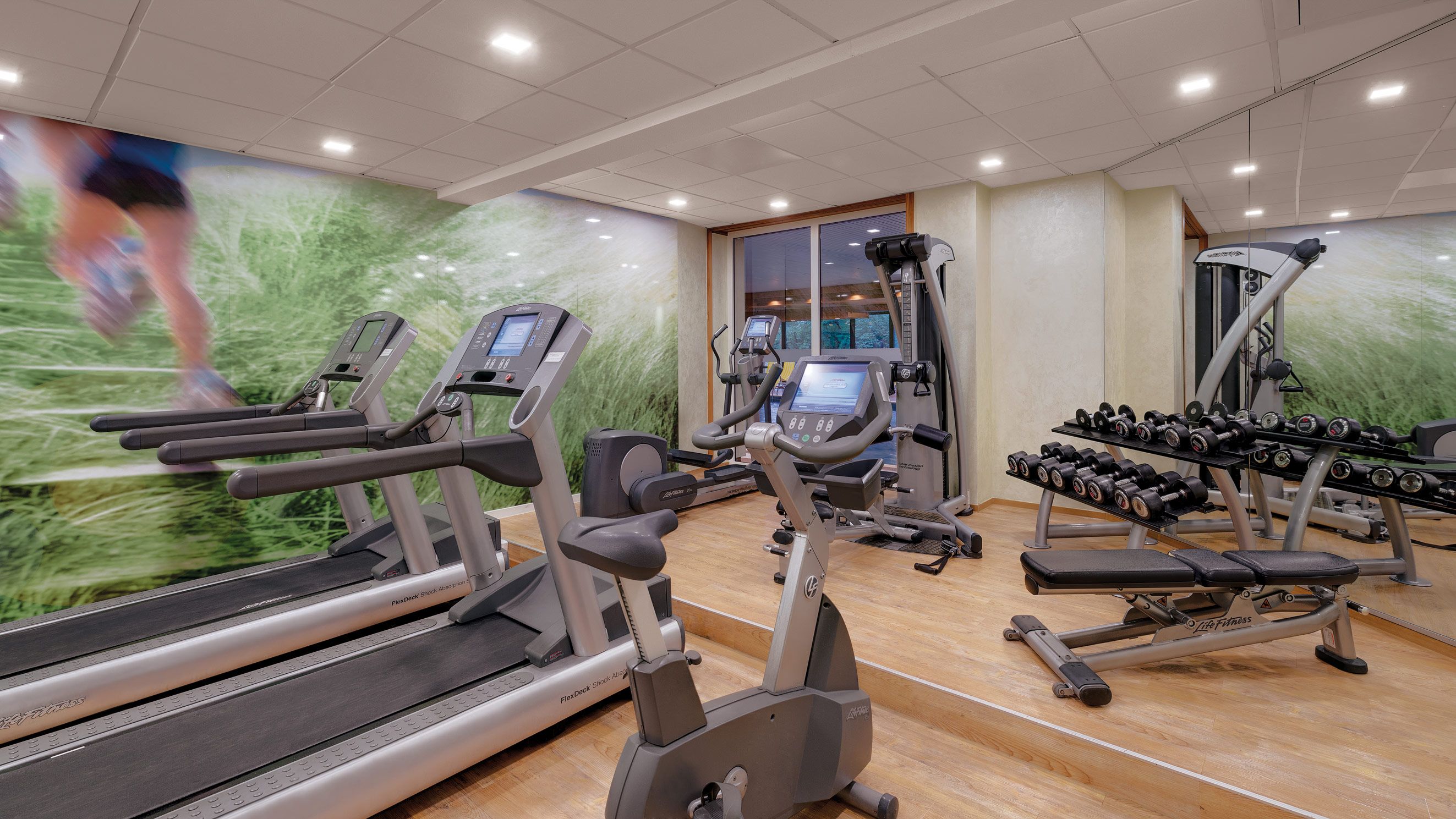 category_wellness