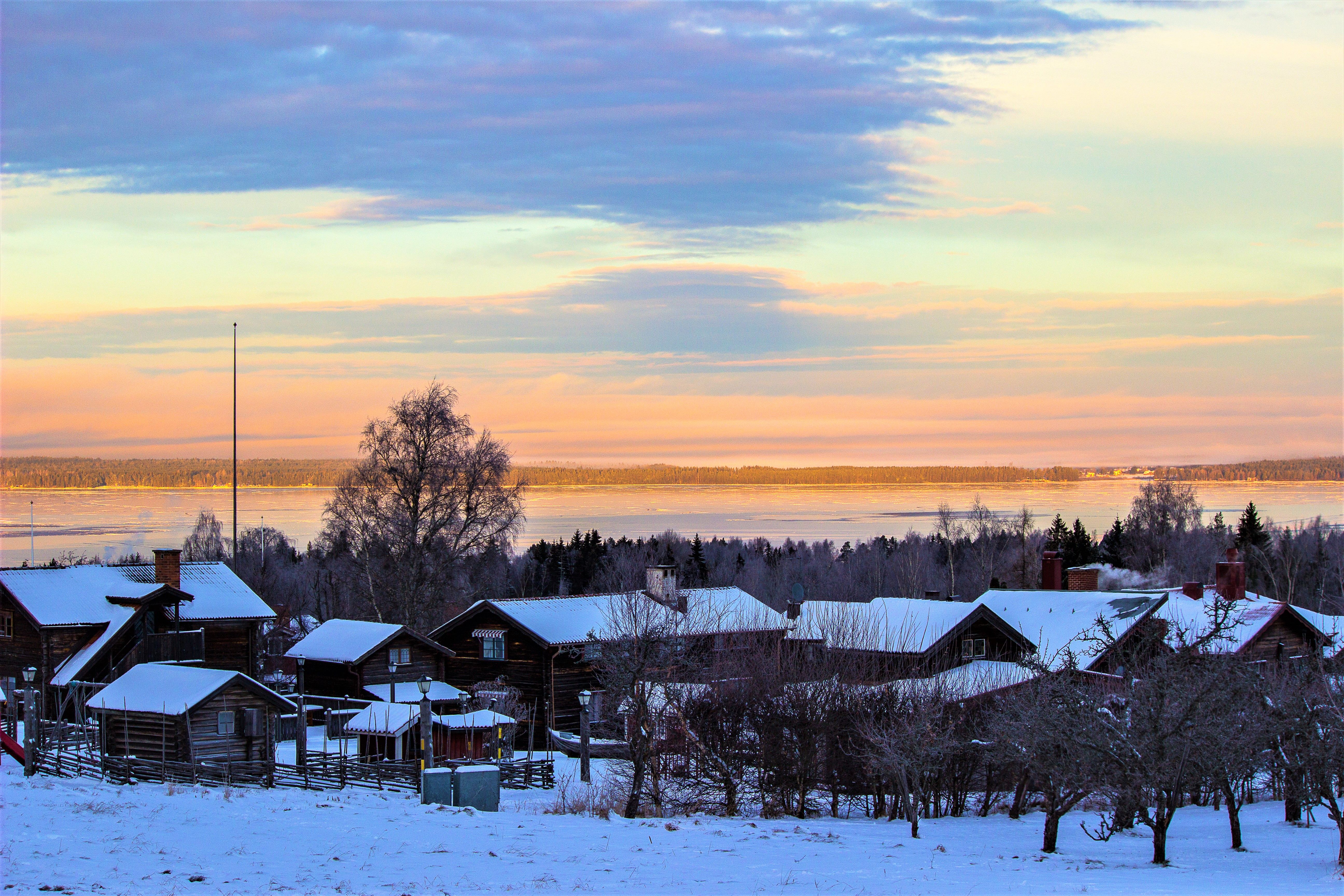 Forsiden