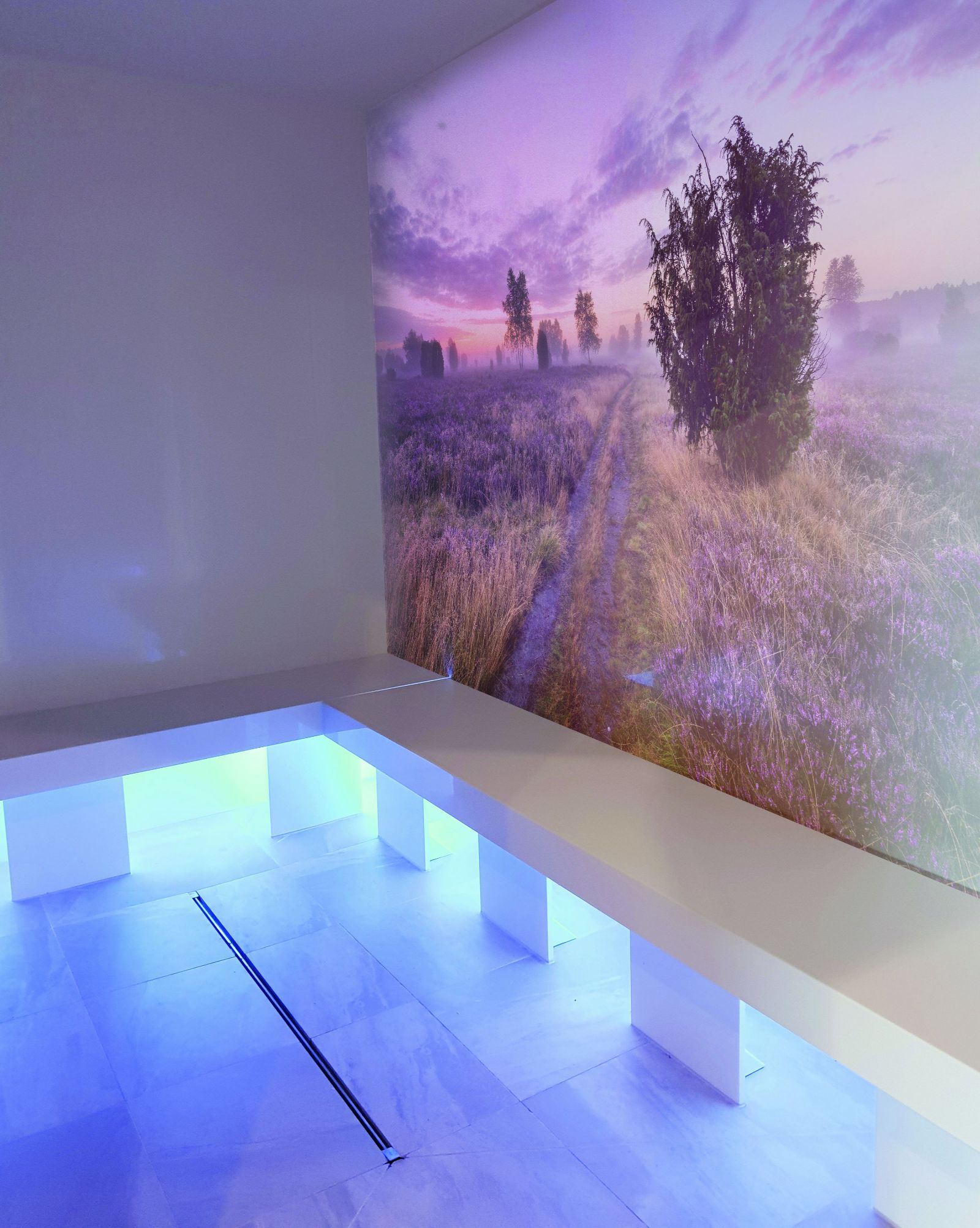 category_wellness