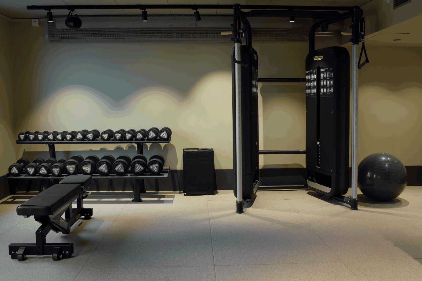category_wellness