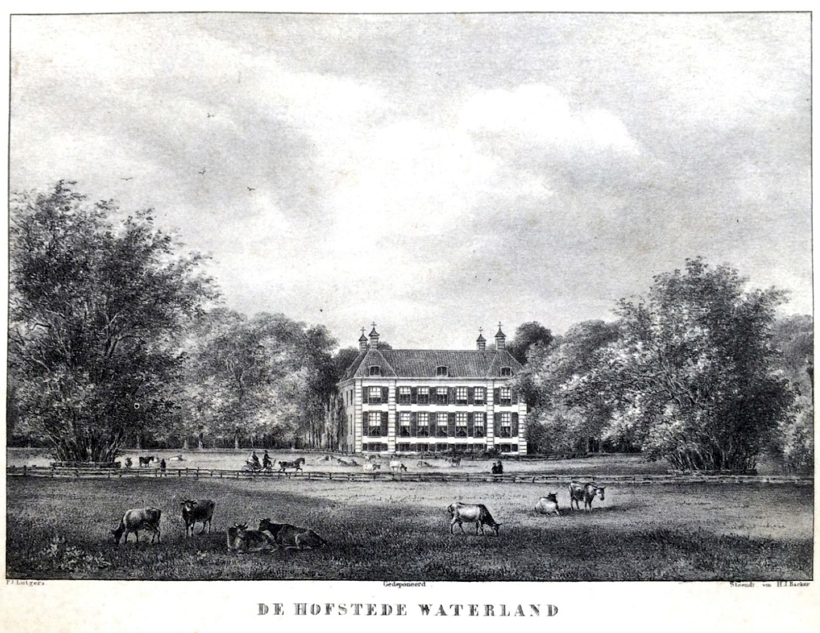 Hovedbildet