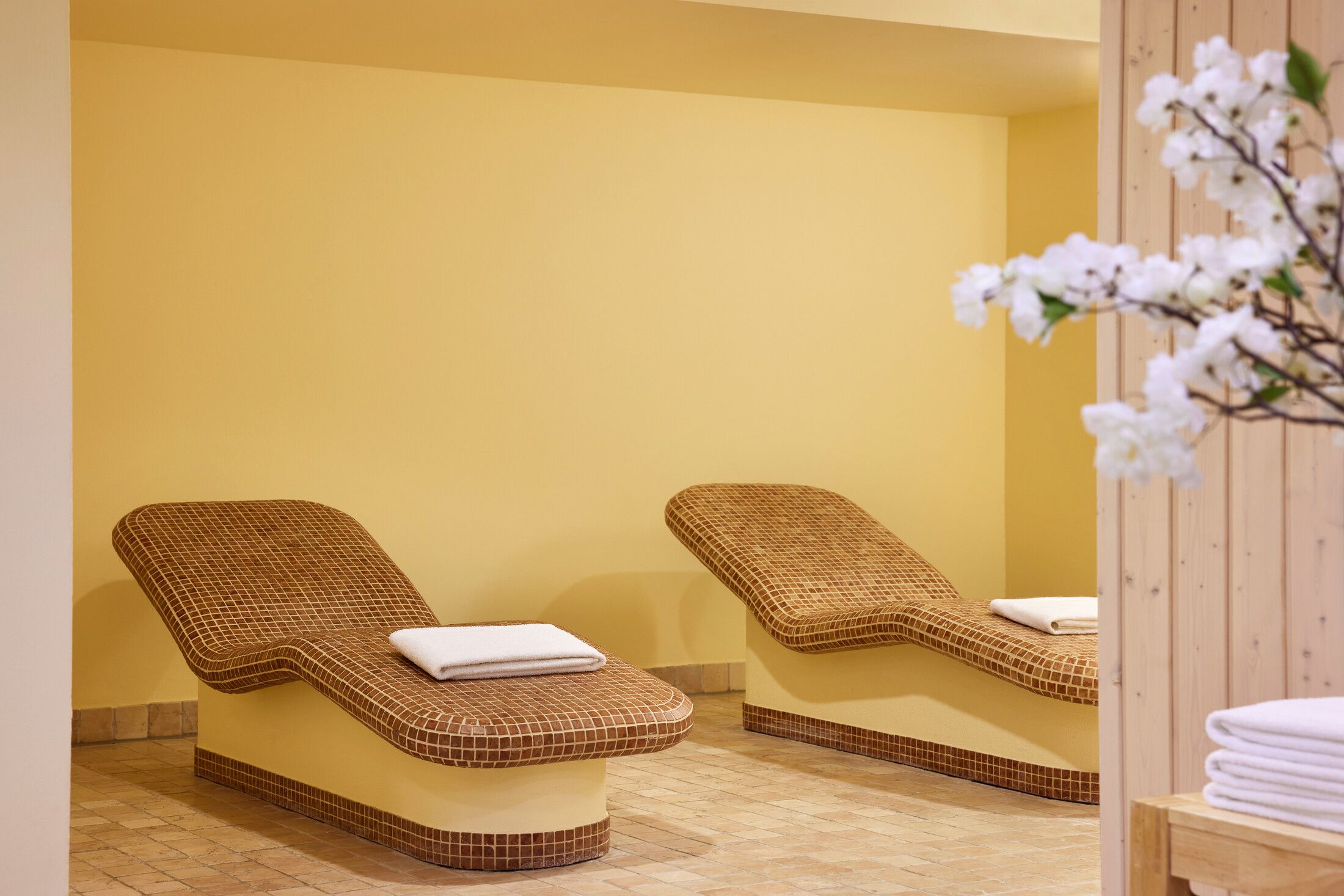 category_wellness