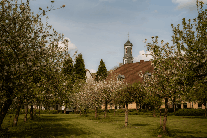 Omgivelser
