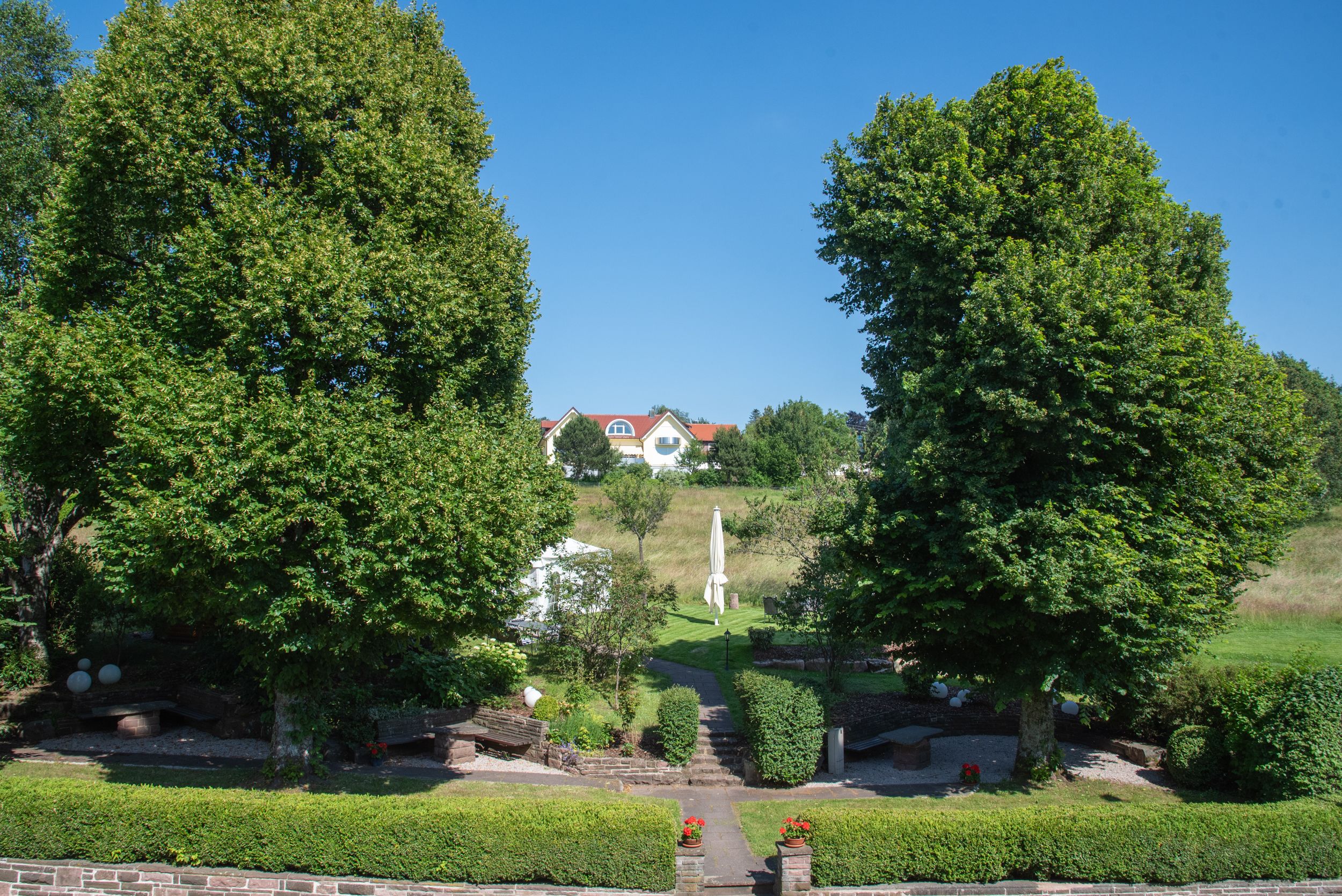 Hovedbildet