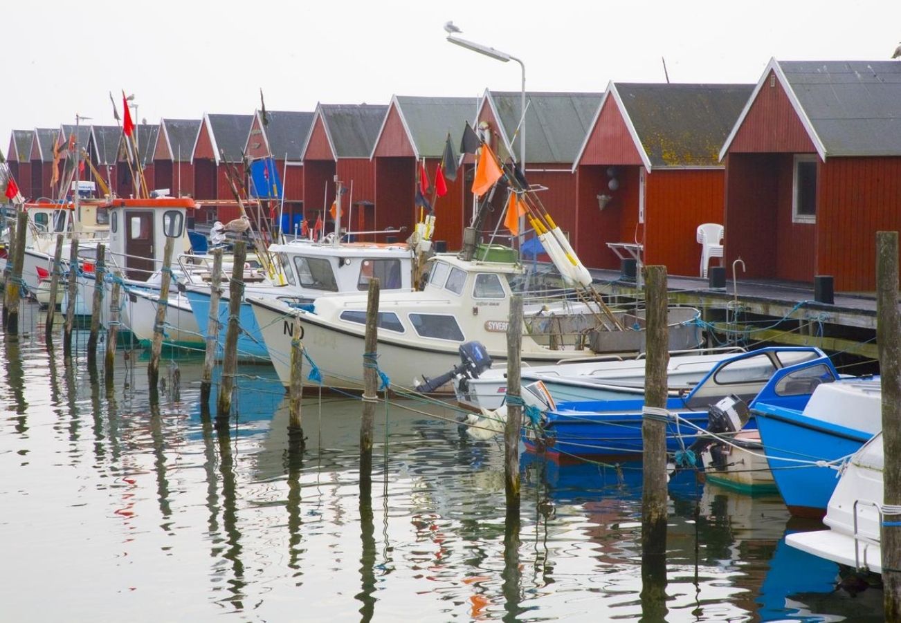 Omgivelser