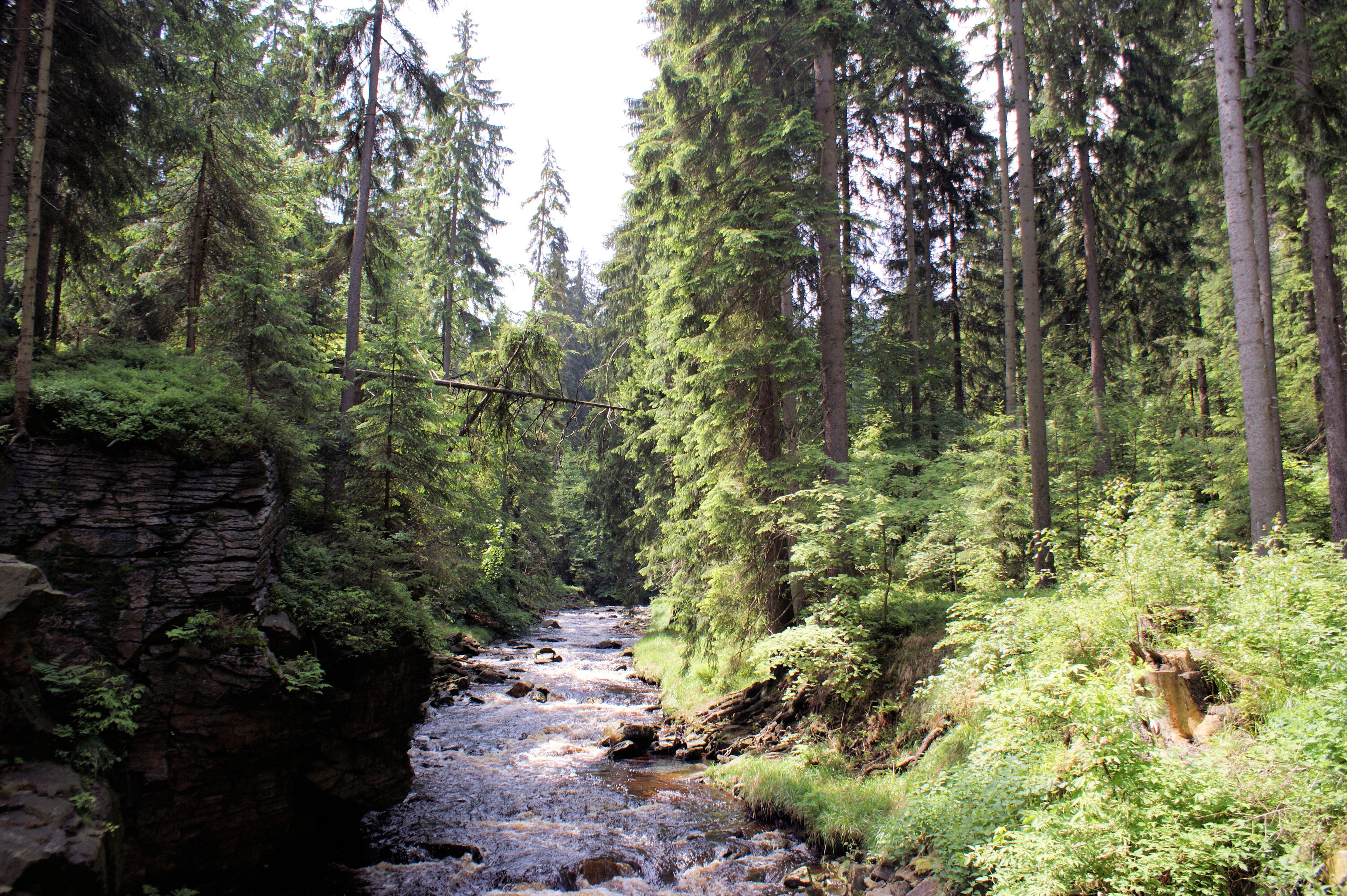 Omgivelser