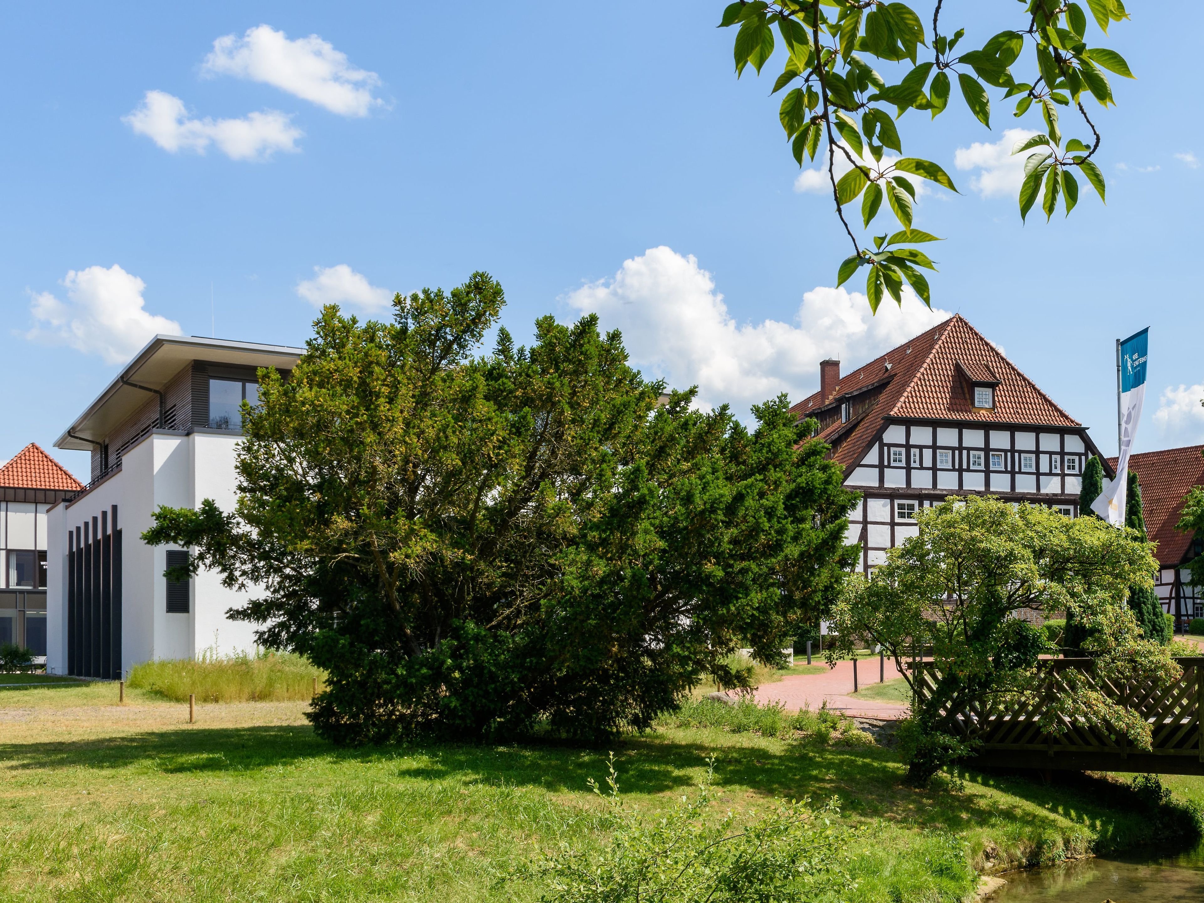 Hovedbildet