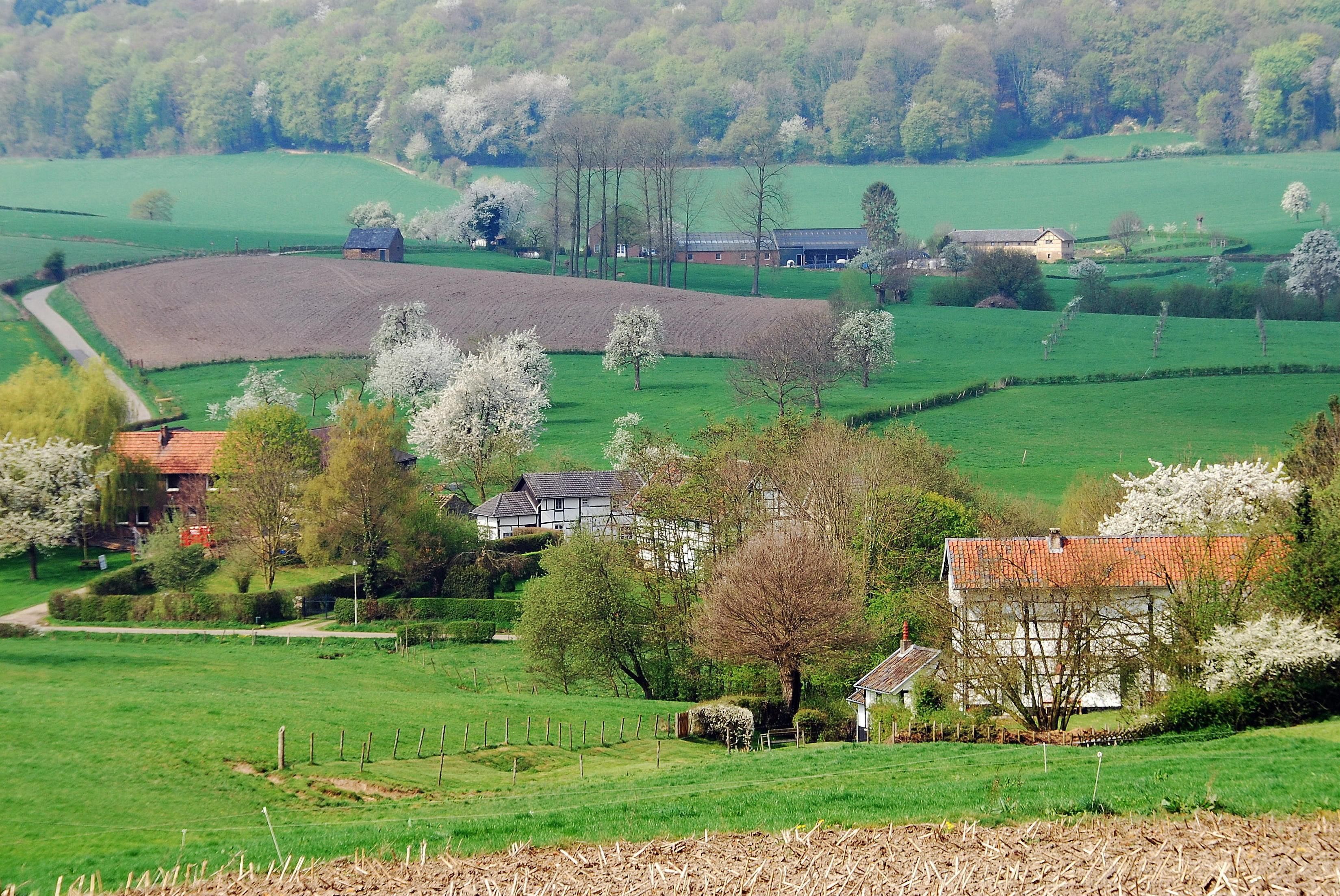 Omgivelser