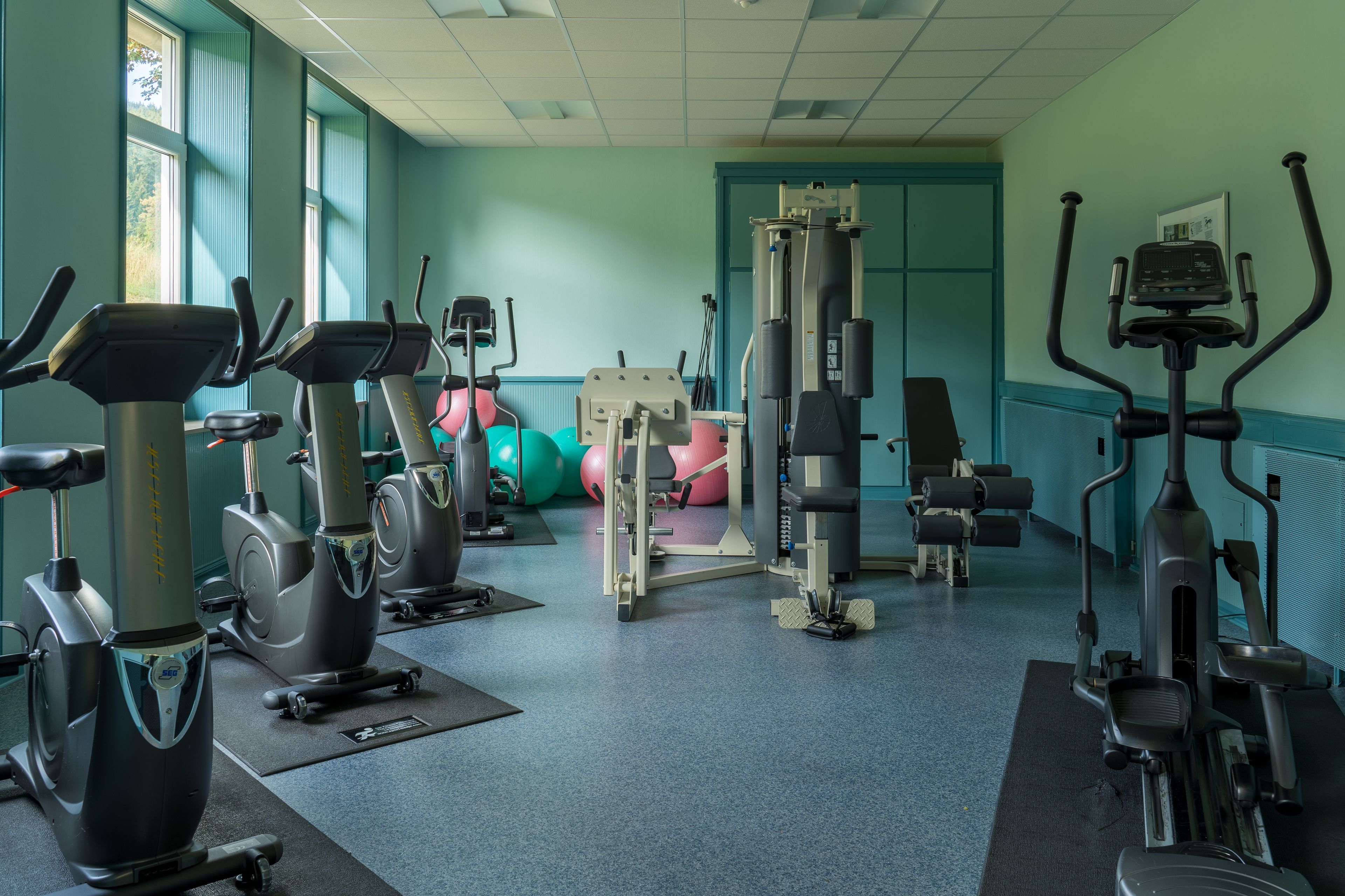 category_wellness