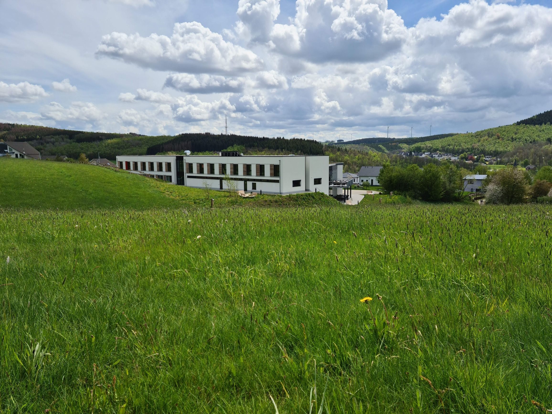 Forsiden