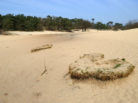Omgivelser