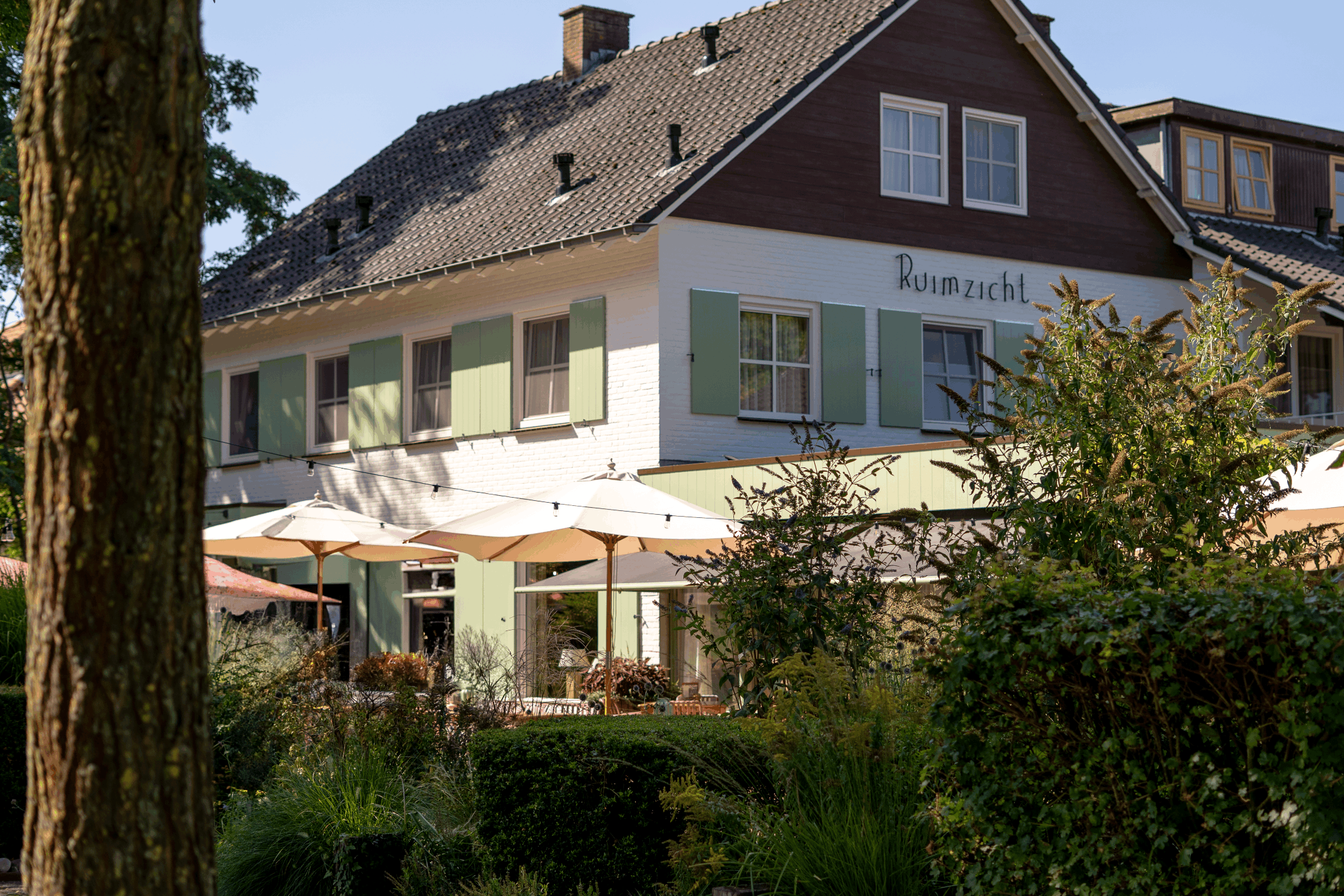 Forsiden