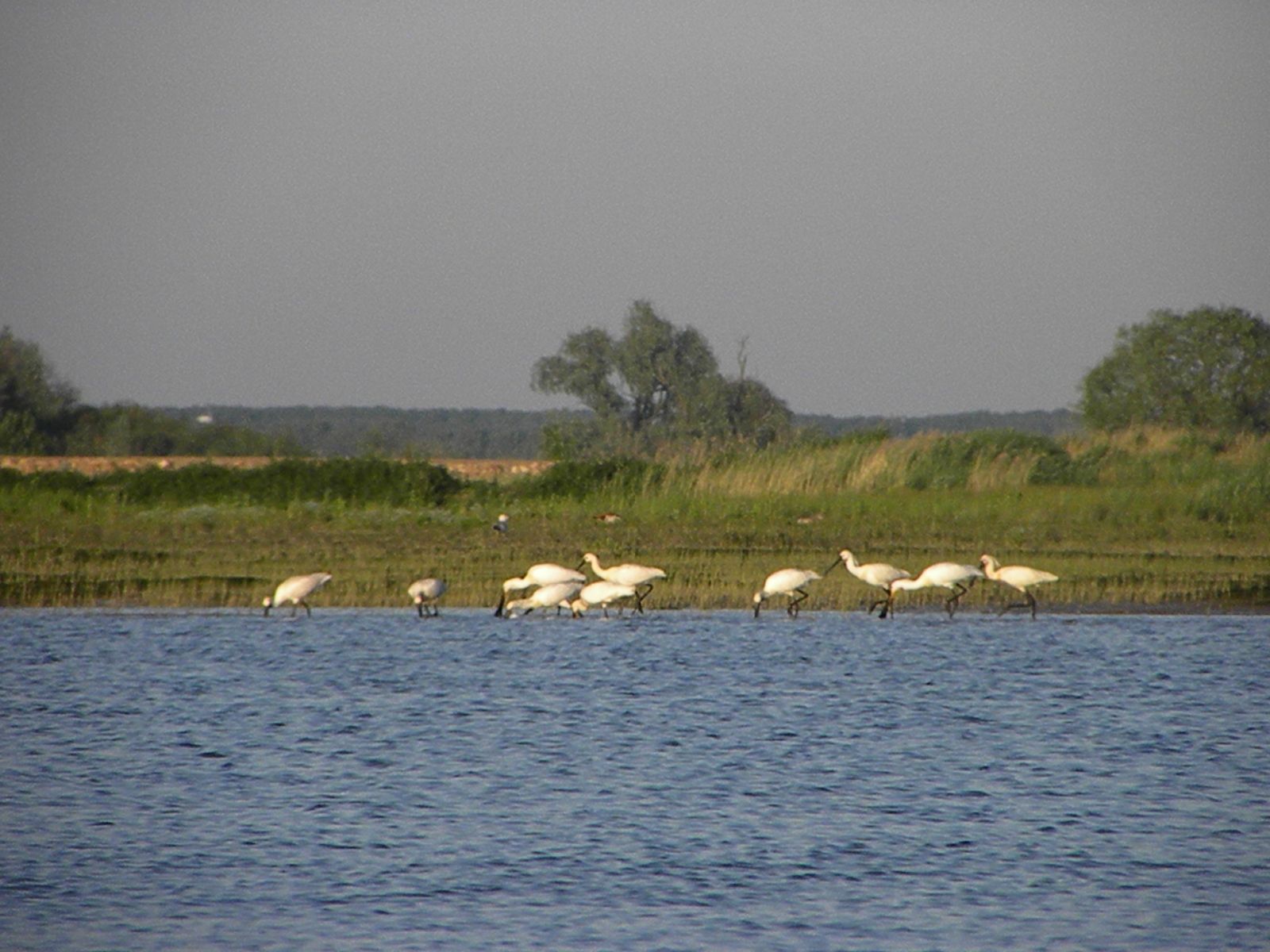 Omgivelser