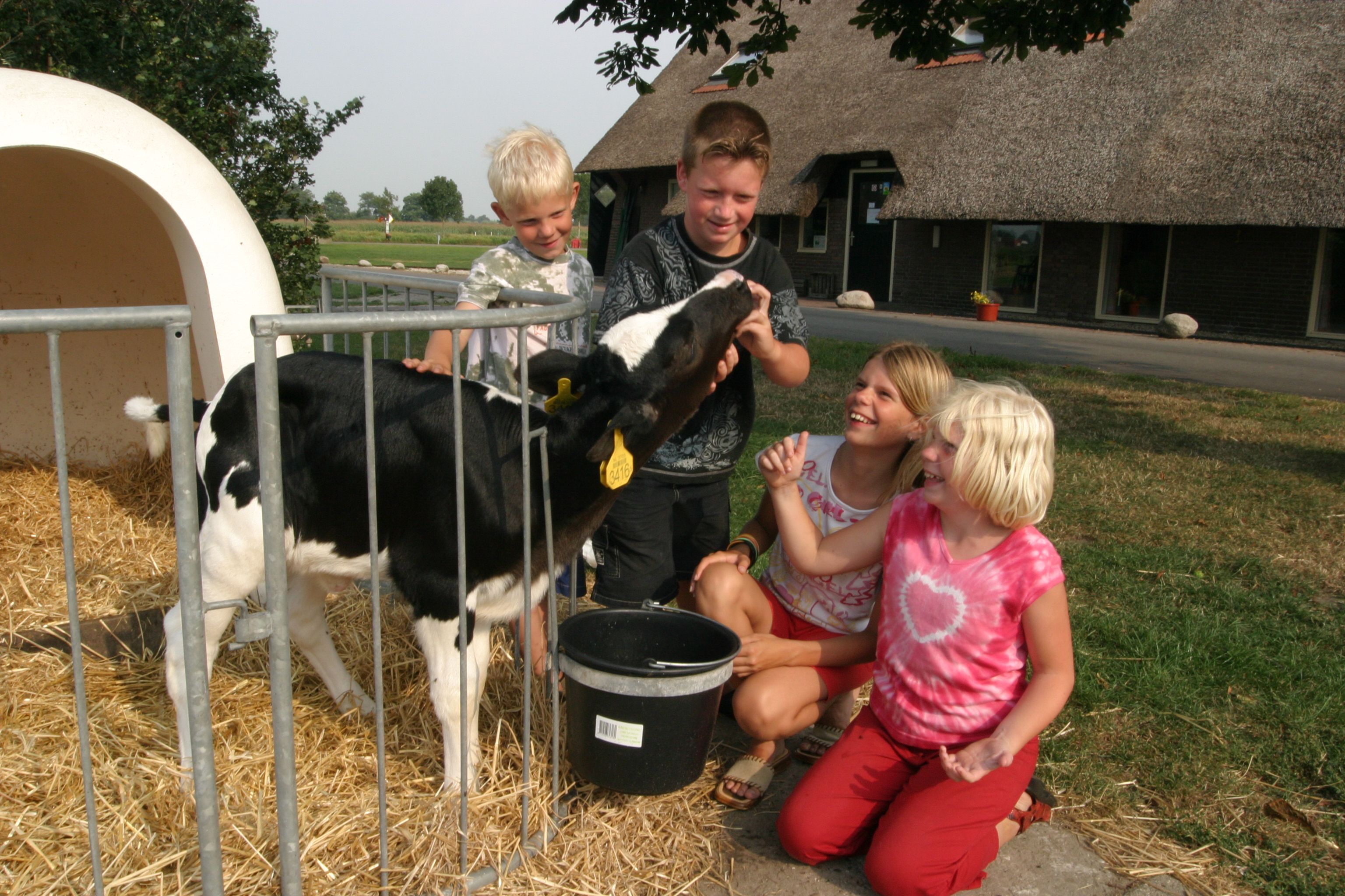 Omgivelser