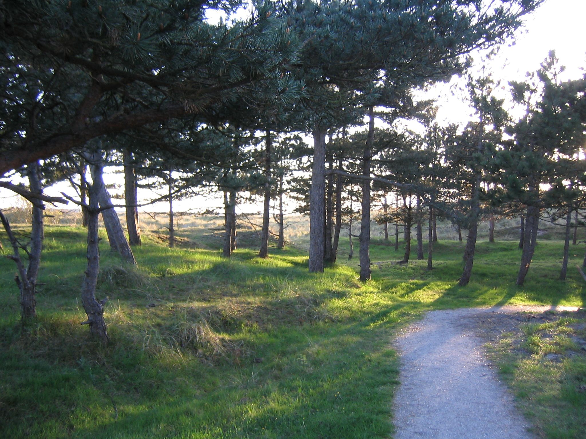 Omgivelser