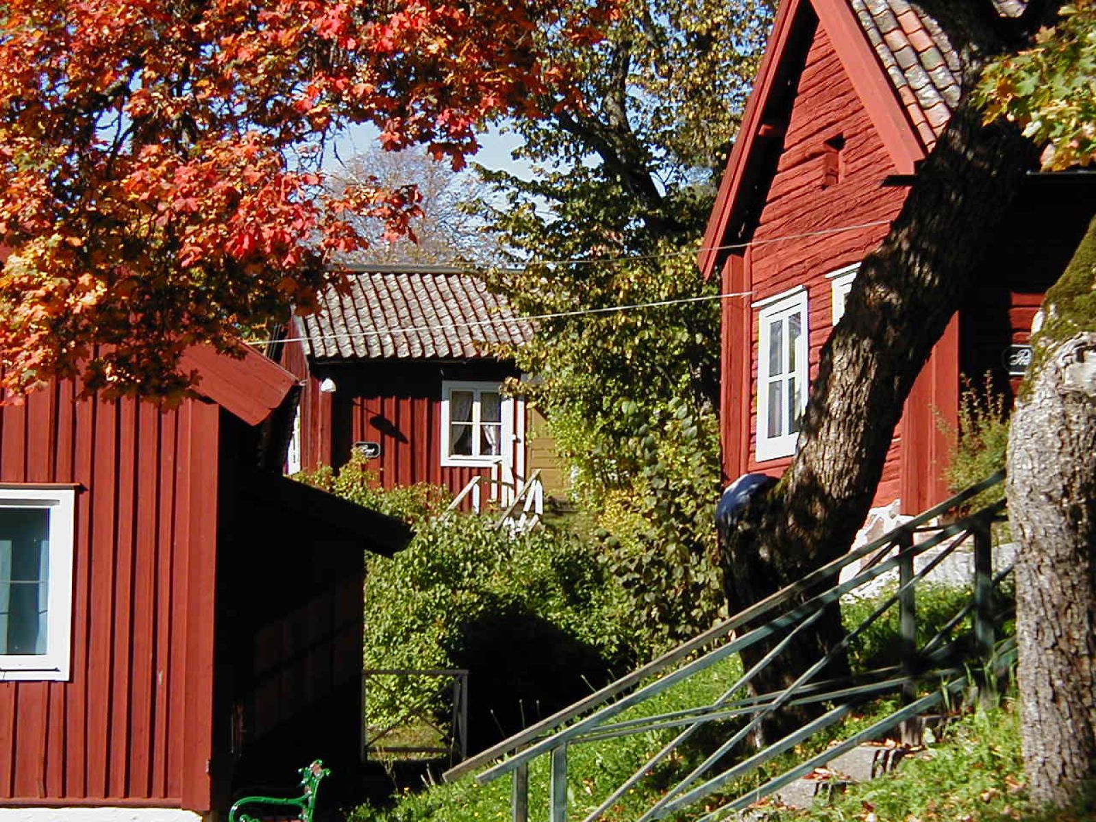 Omgivelser