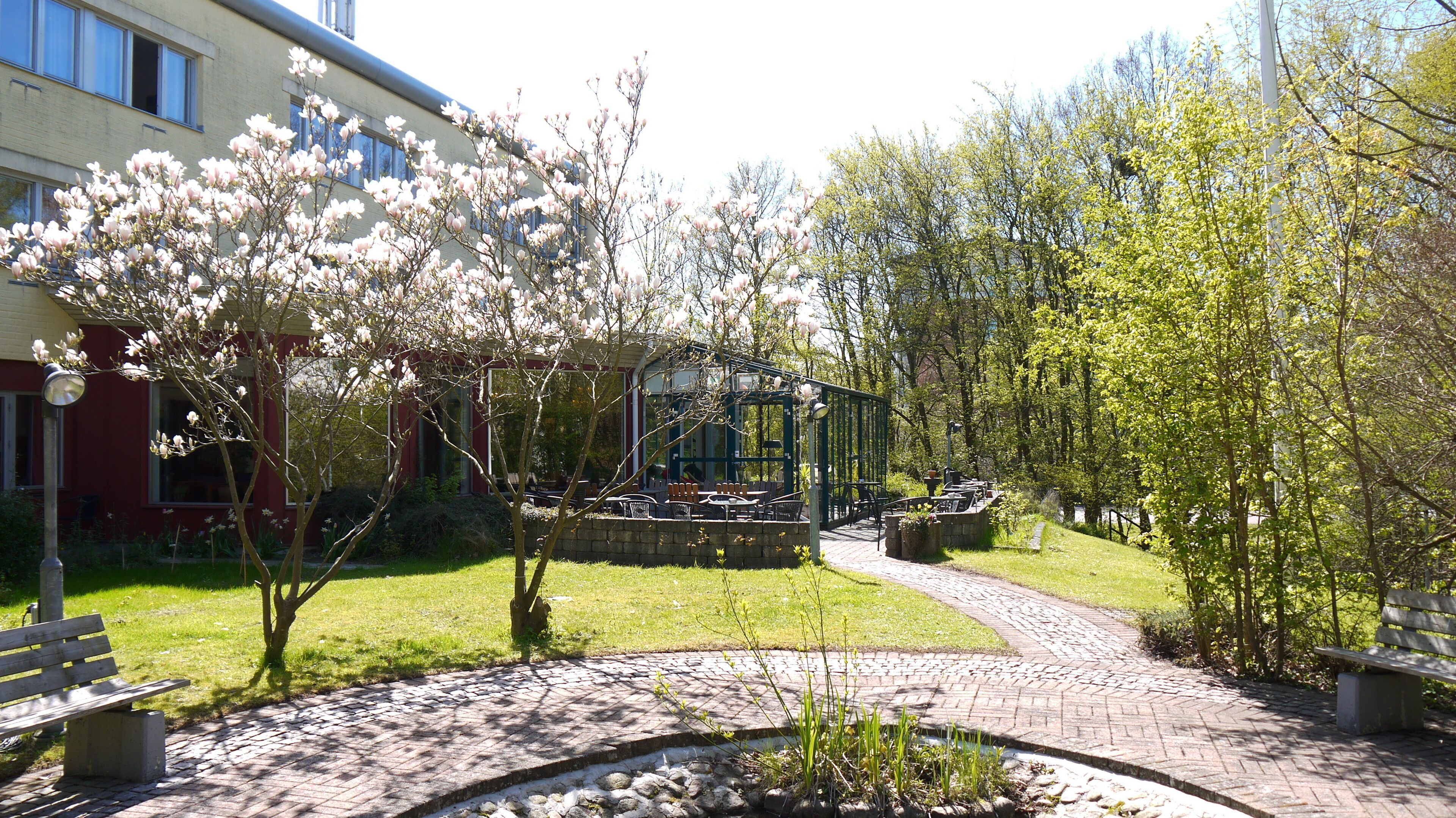 Omgivelser