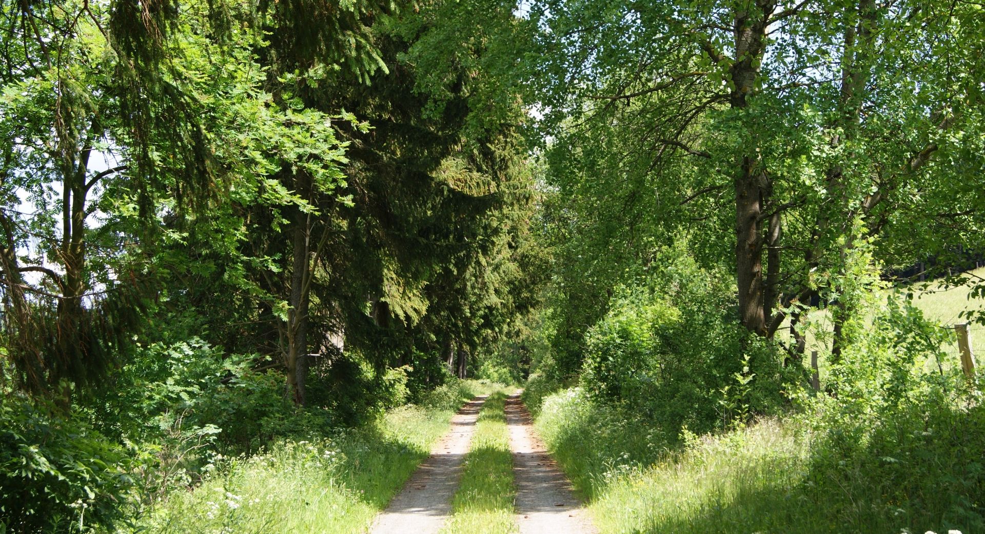 Omgivelser