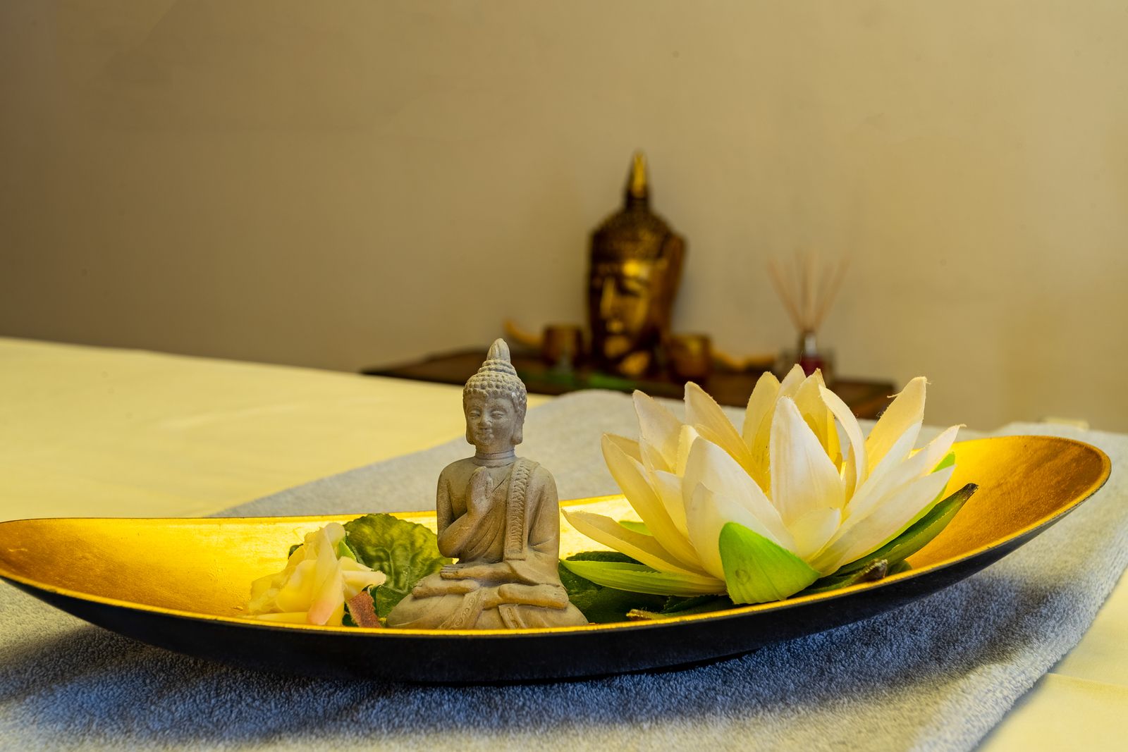 category_wellness