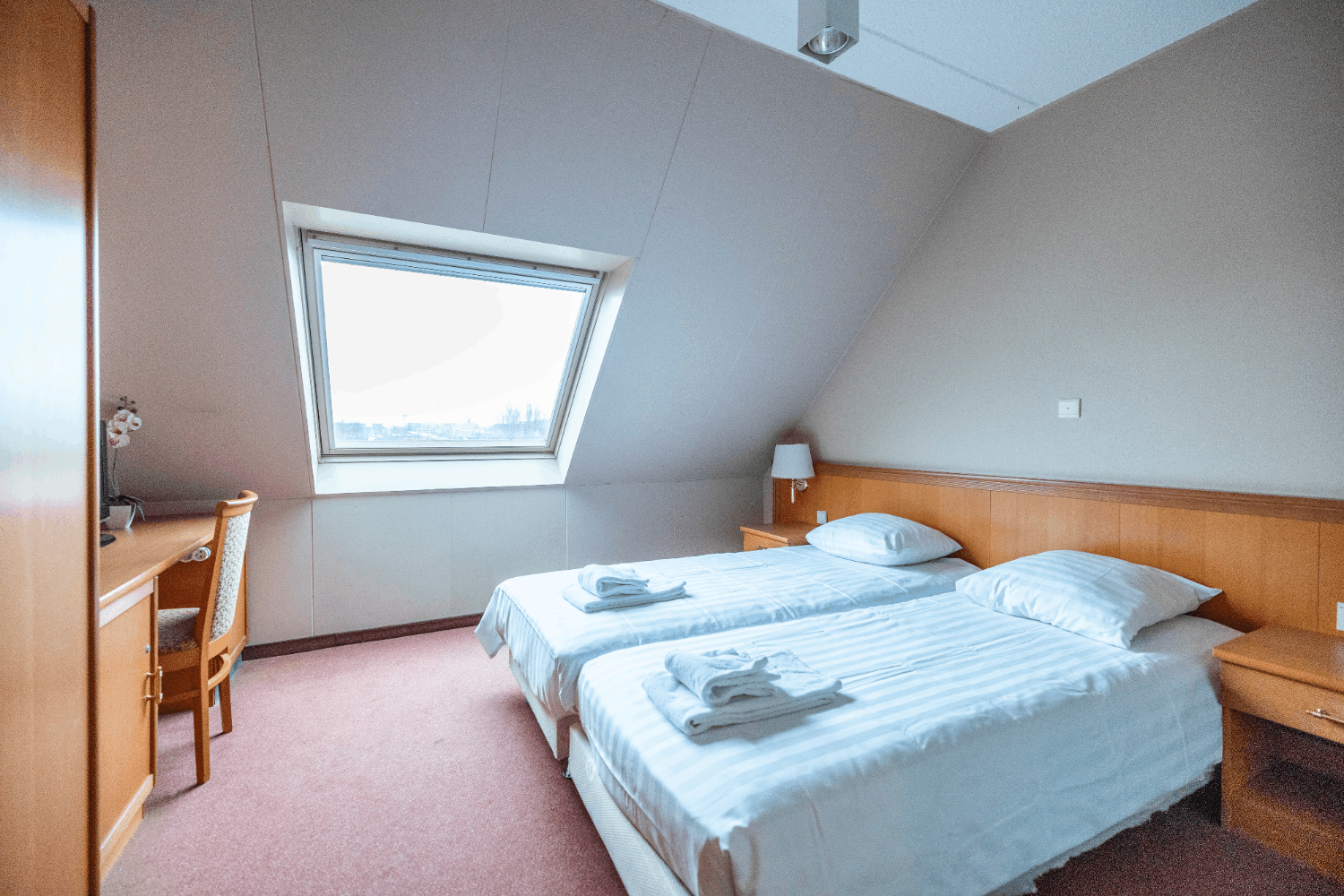 bilde på Båtturer & cruise pakke