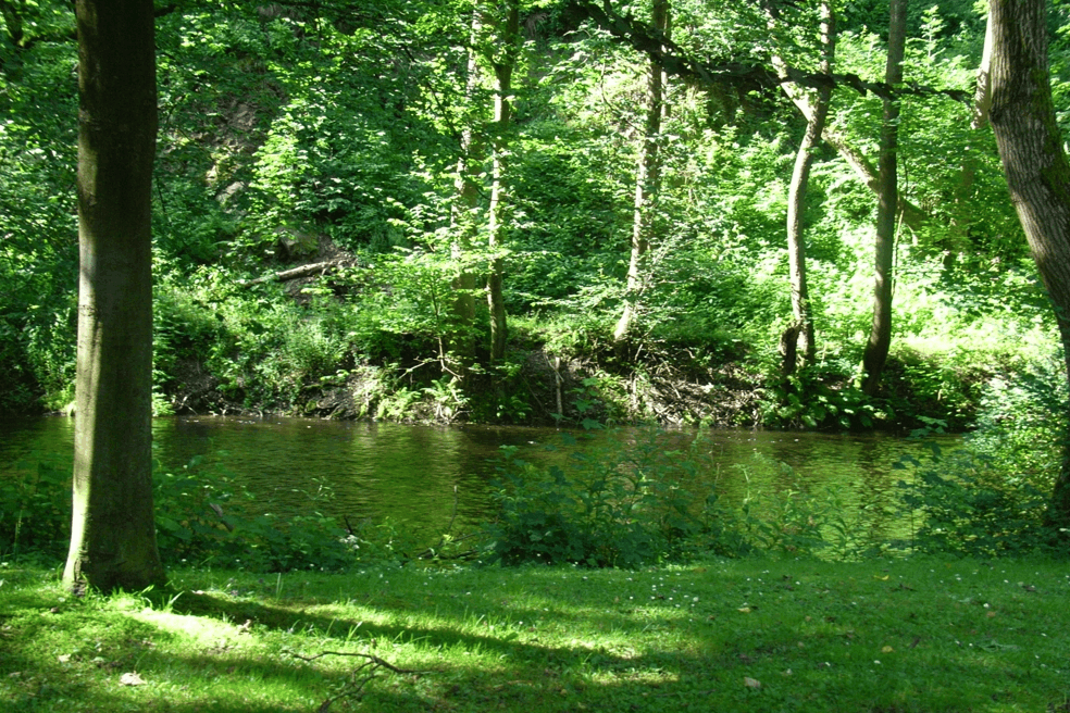 Omgivelser