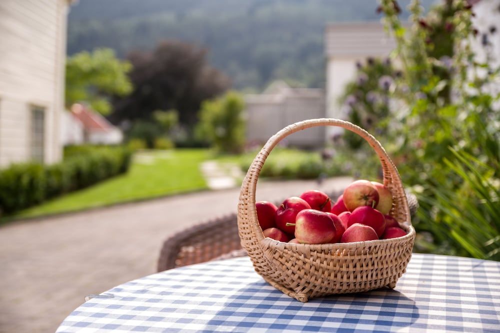Generell