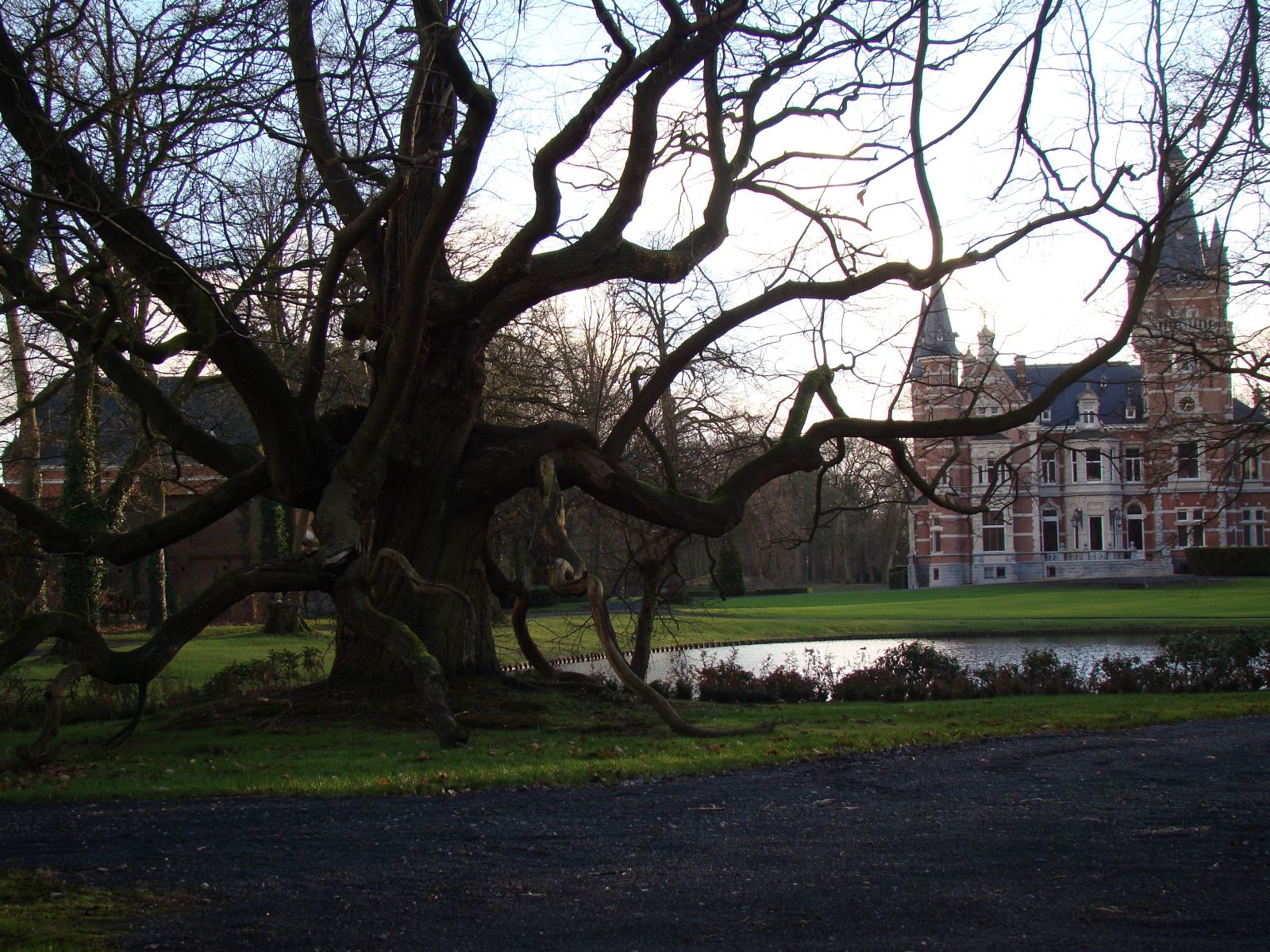 Omgivelser