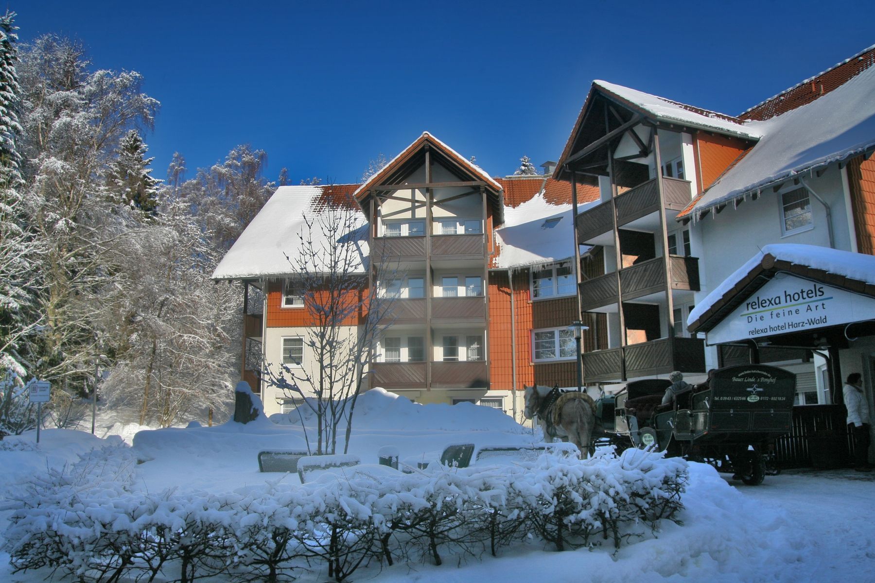 Forsiden