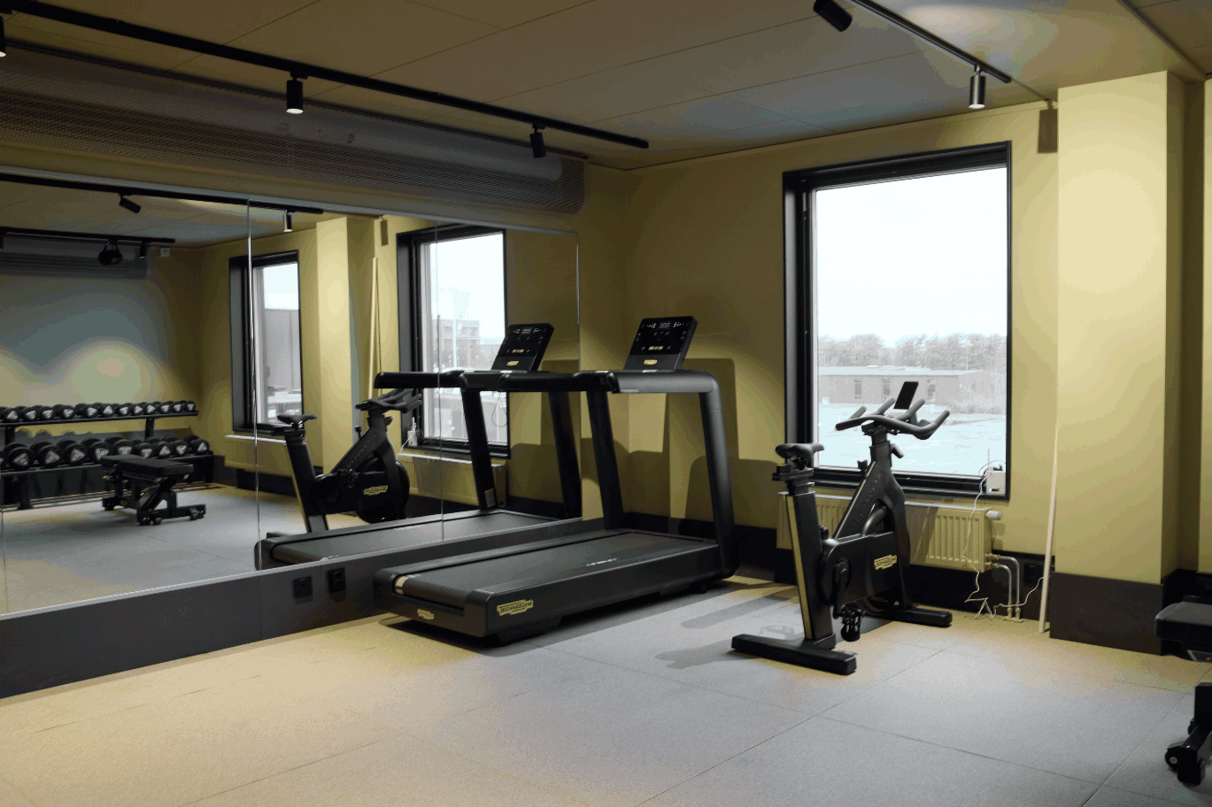 category_wellness
