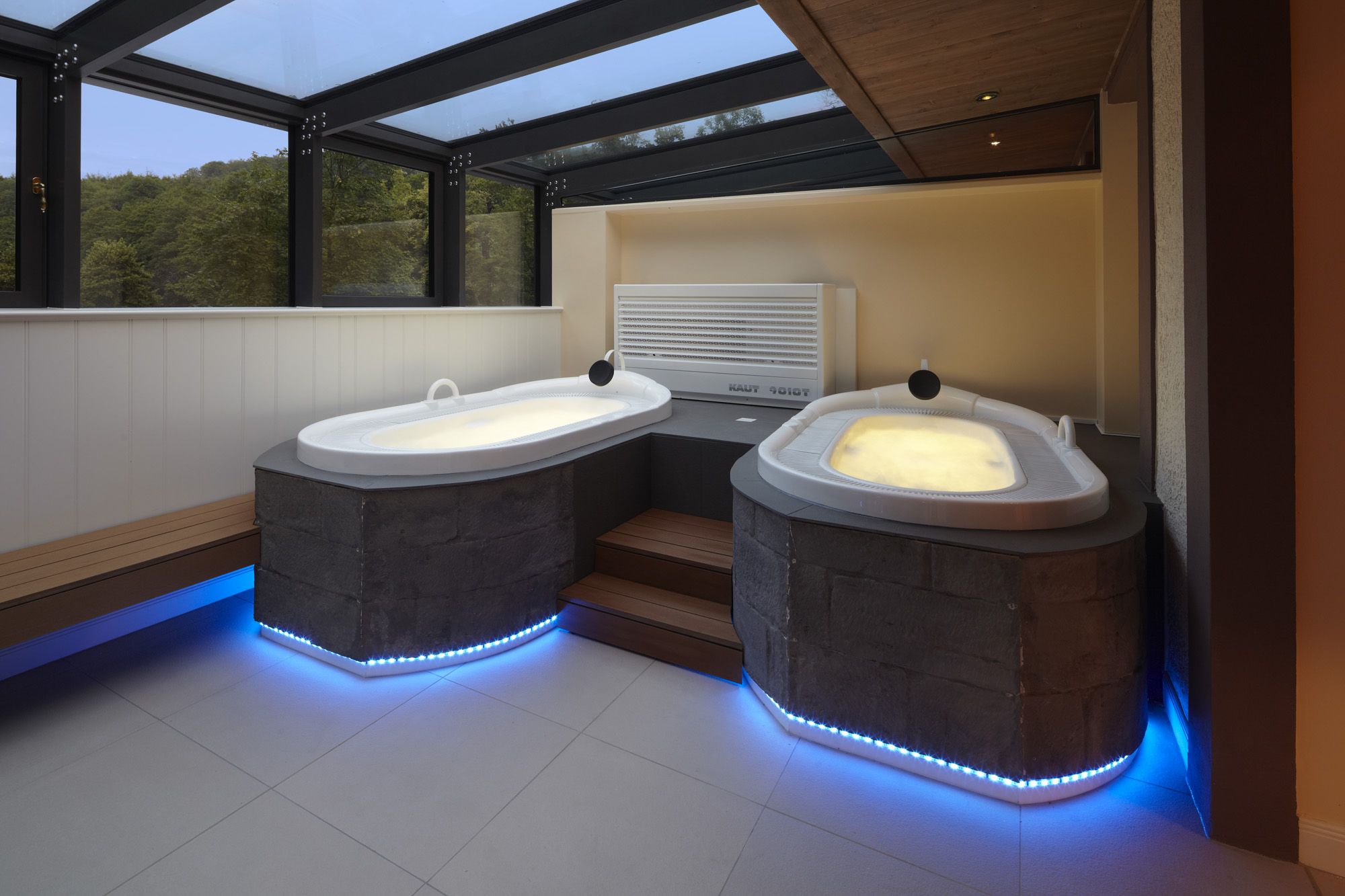 category_wellness