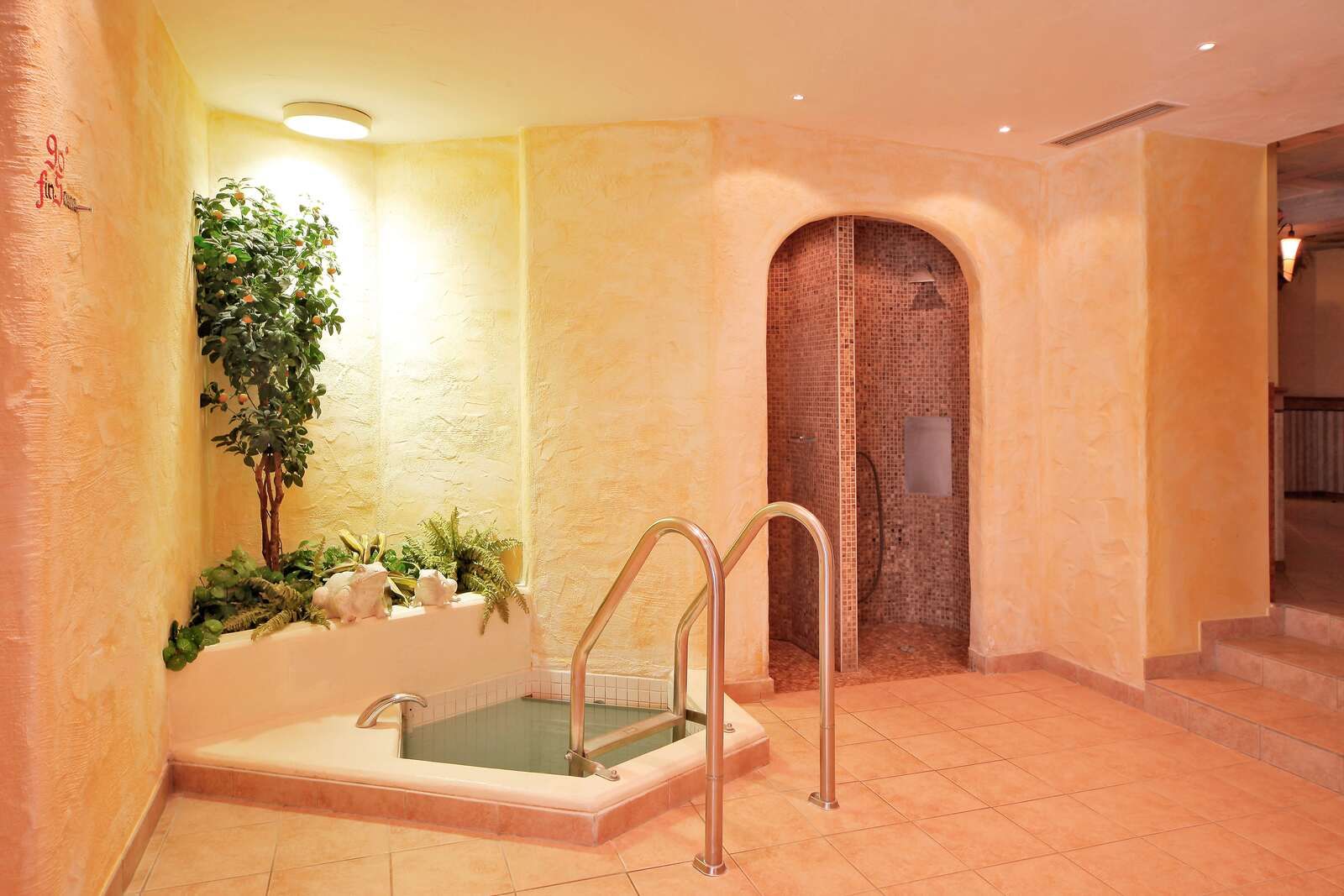category_wellness