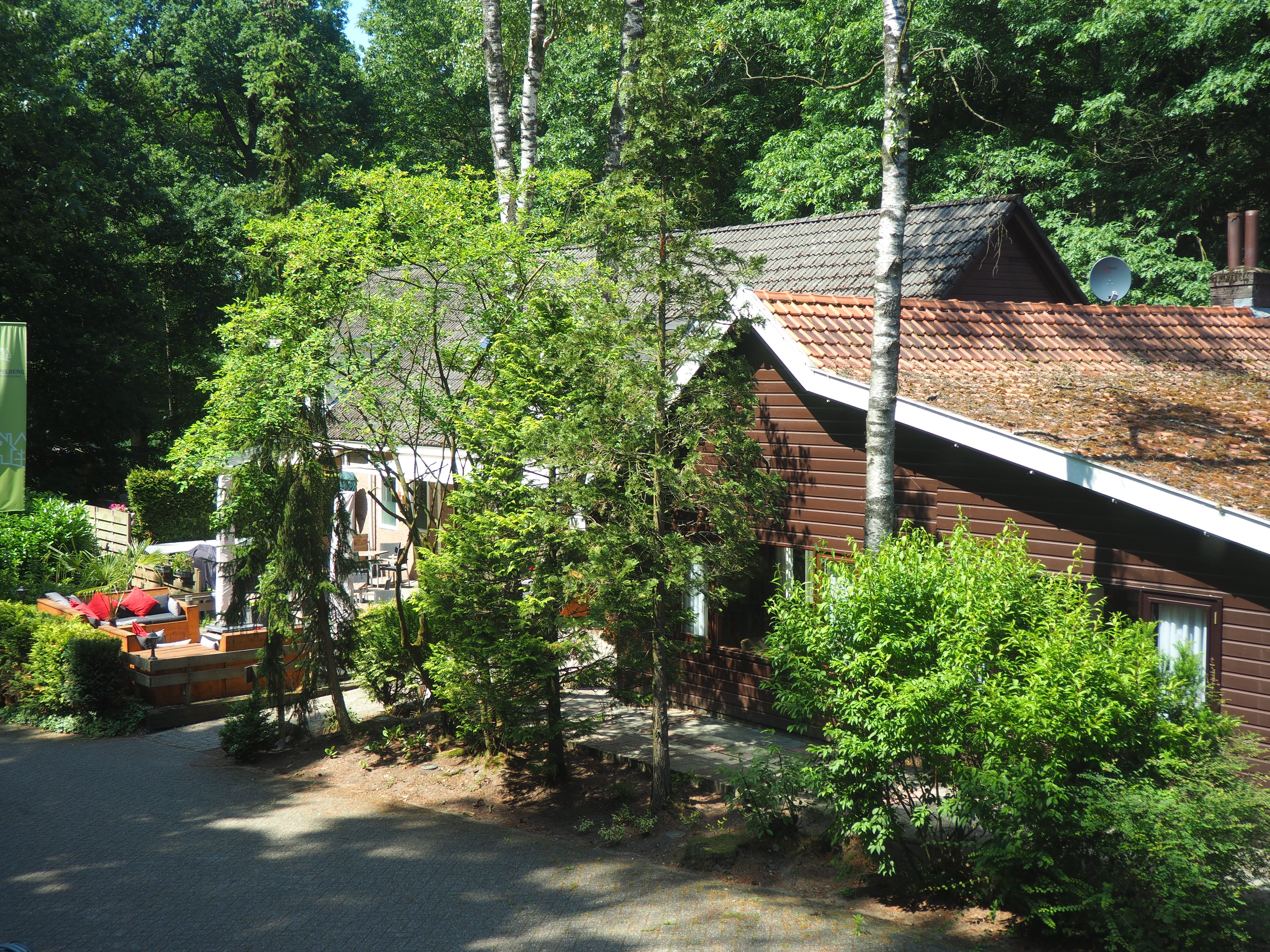 Forsiden