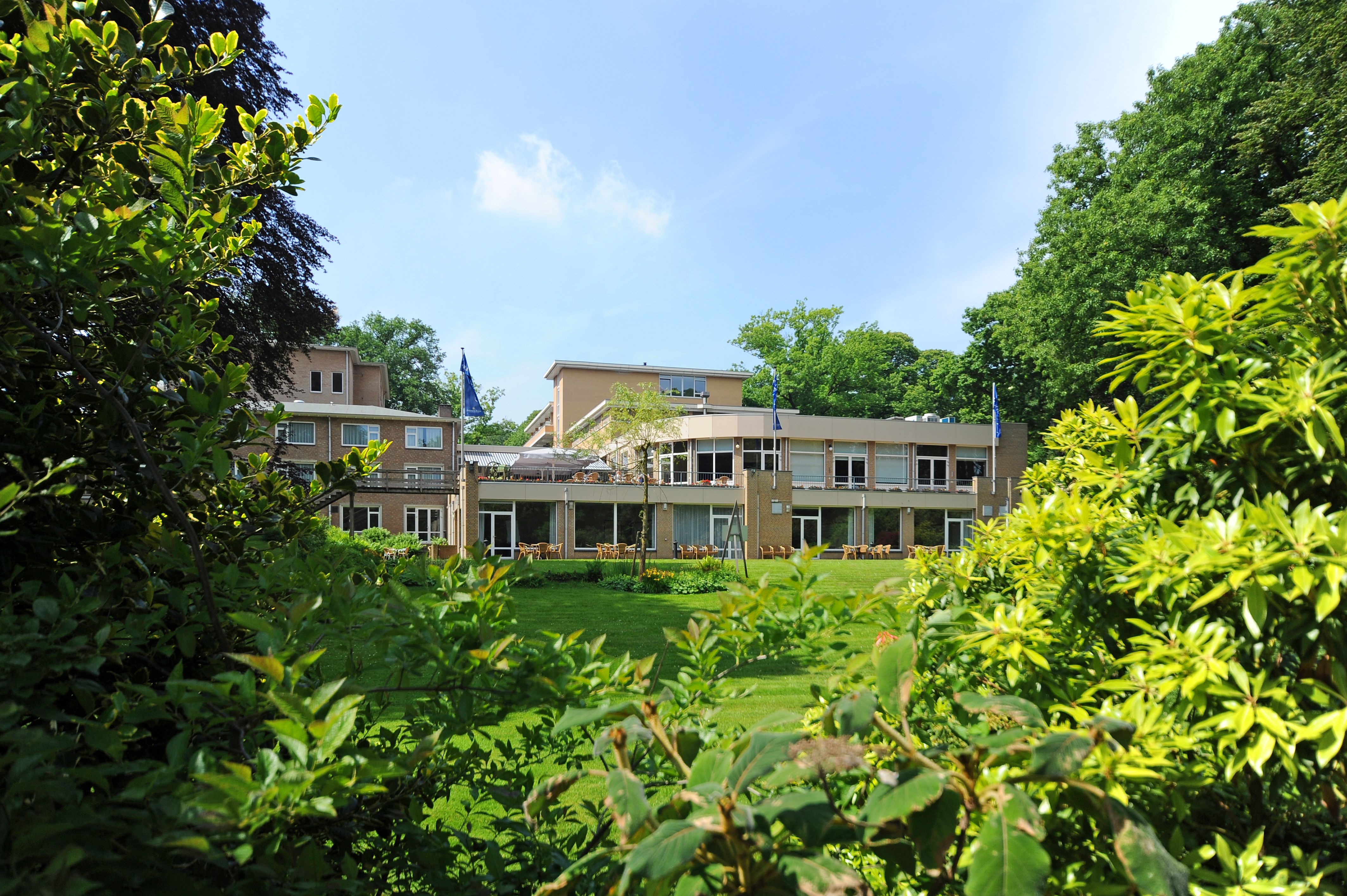 Hovedbildet