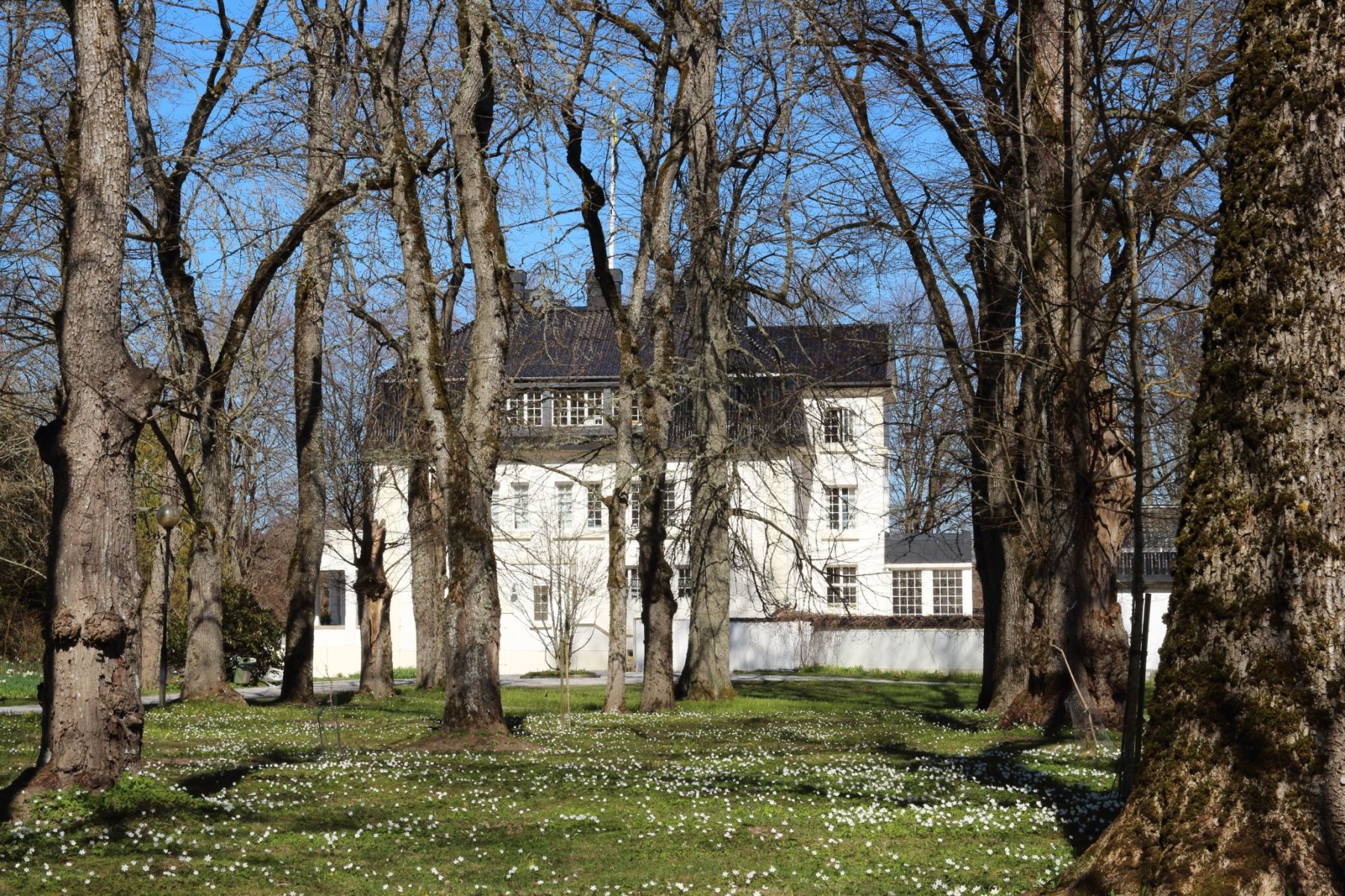 Omgivelser