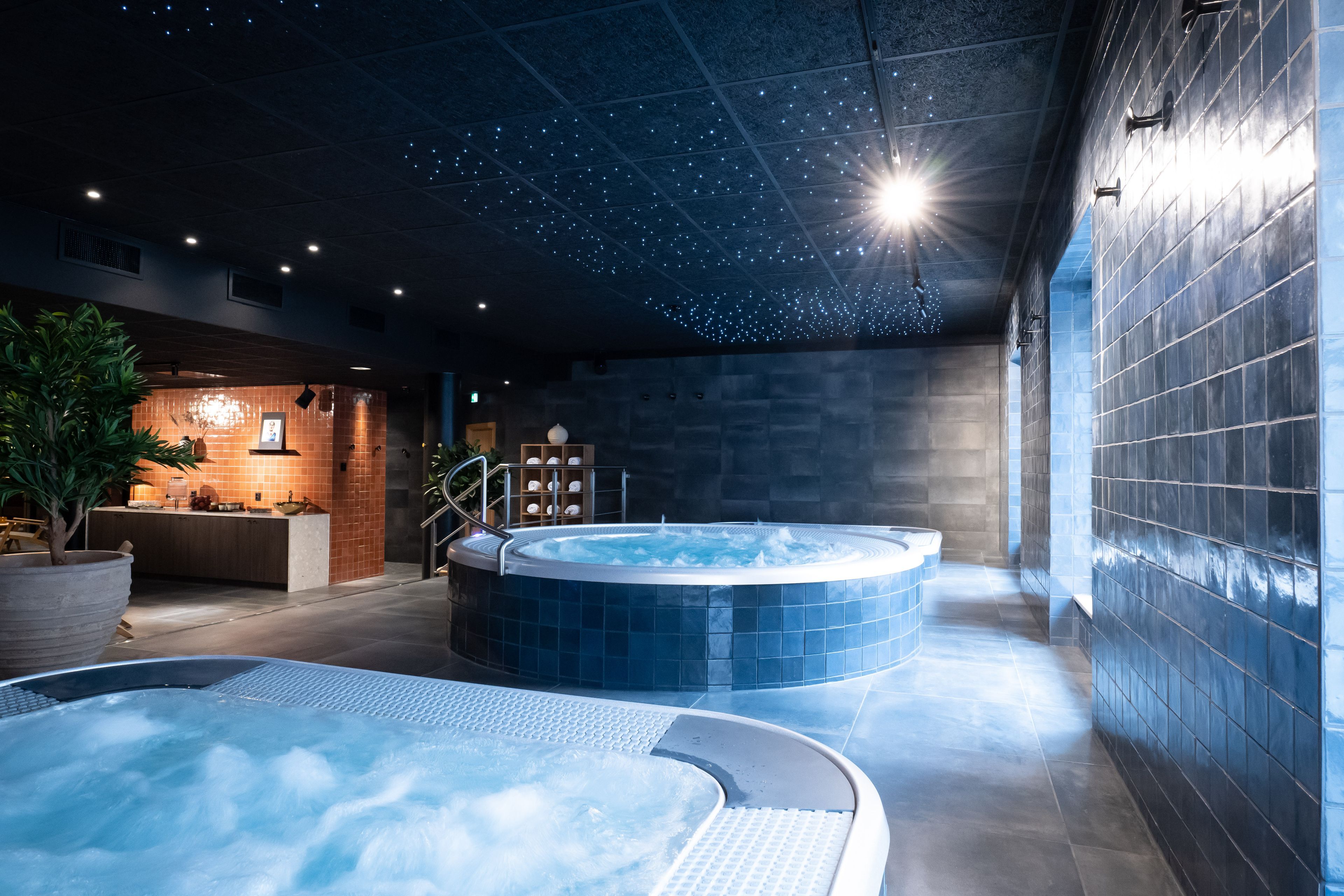 category_wellness