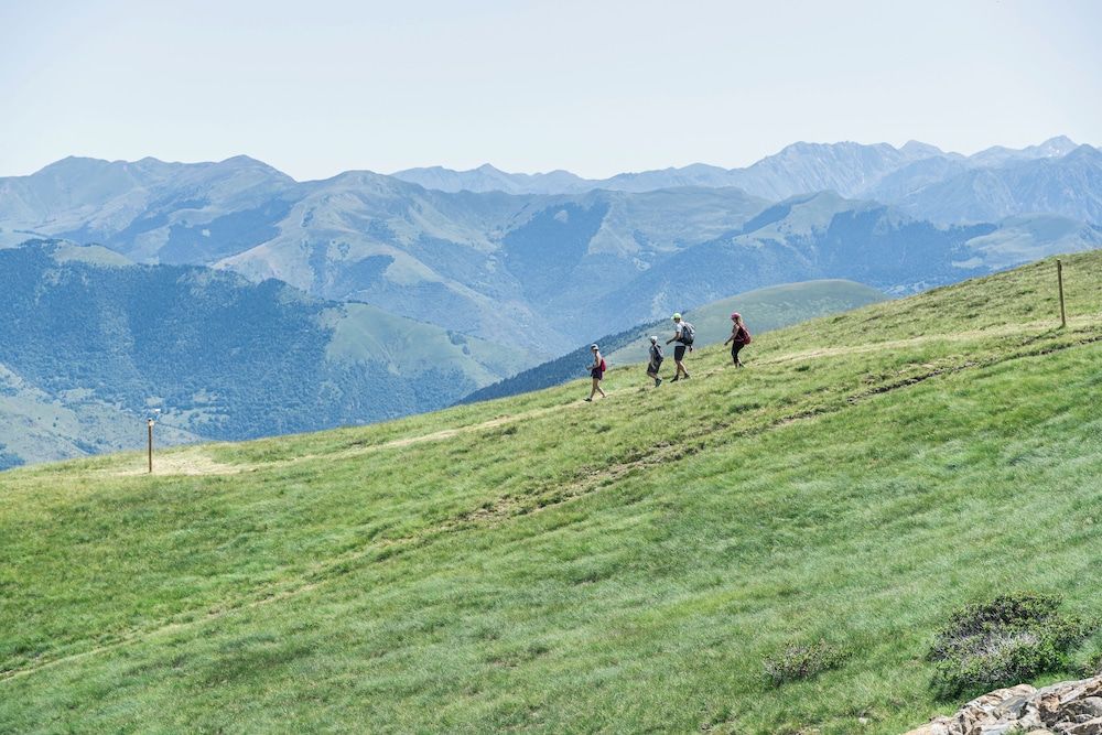 Generell