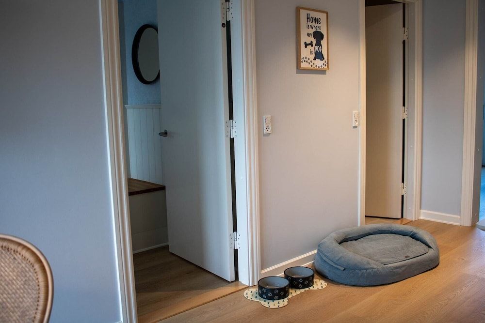 bilde på Hundevennlig leilighet