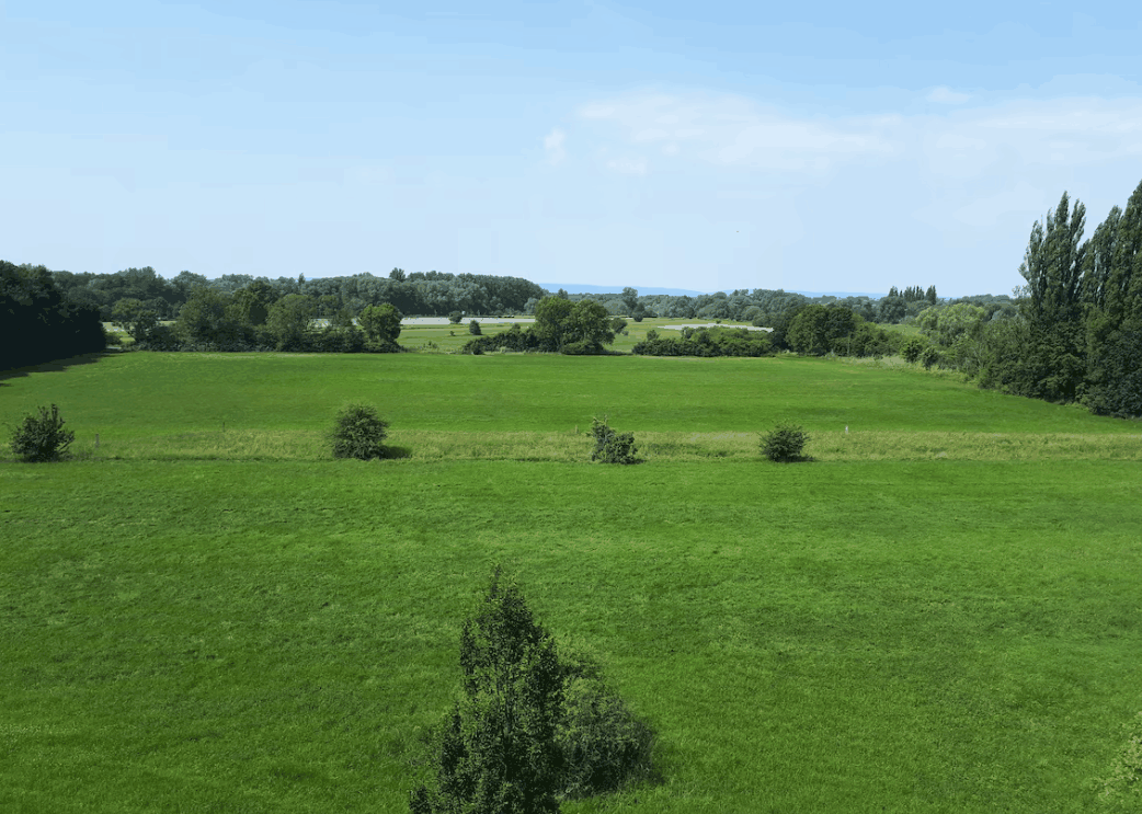 Omgivelser