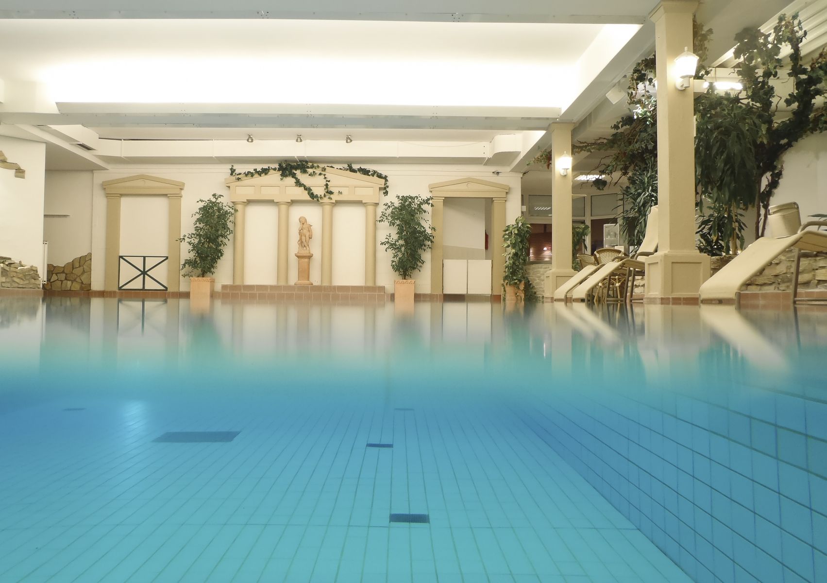 category_wellness